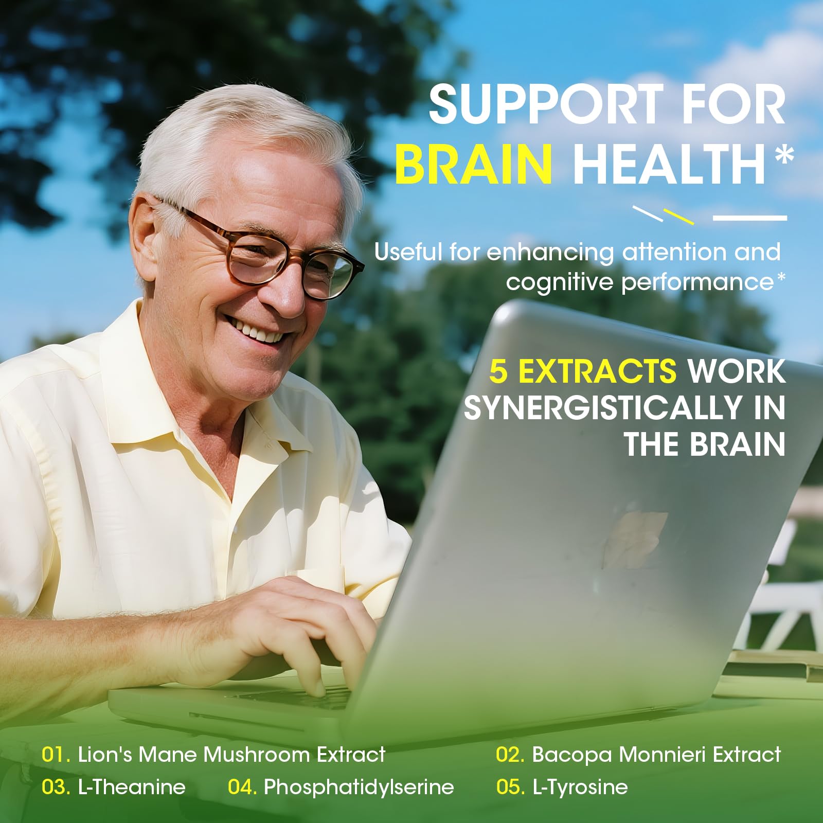 Eye + Brain Supplements for Memory and Focus, Lutein 40mg, Zeaxanthin, Astaxanthin, Bilberry, Lion’s Mane, Bacopa Monnieri, Ginkgo Biloba, 14 in 1 Eye Vitamins for Adults & Seniors 120 Capsules Alliwise buy supplements canada