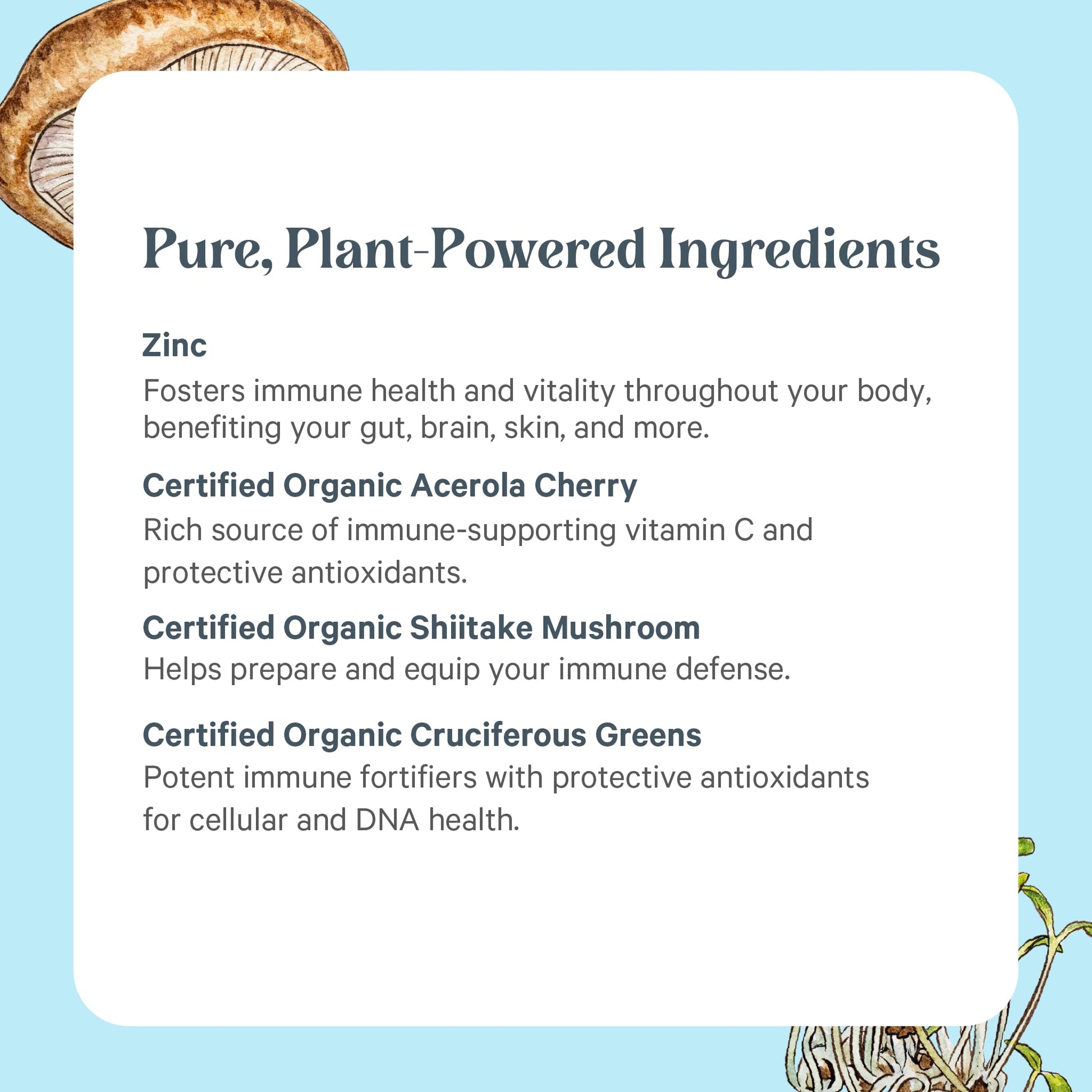 PURE SYNERGY Zinc Complex | Immune Support Supplement | Natural, Vegan Zinc Complex with Vitamin C and Organic Whole Foods | for Immune PURE SYNERGY buy supplements canada