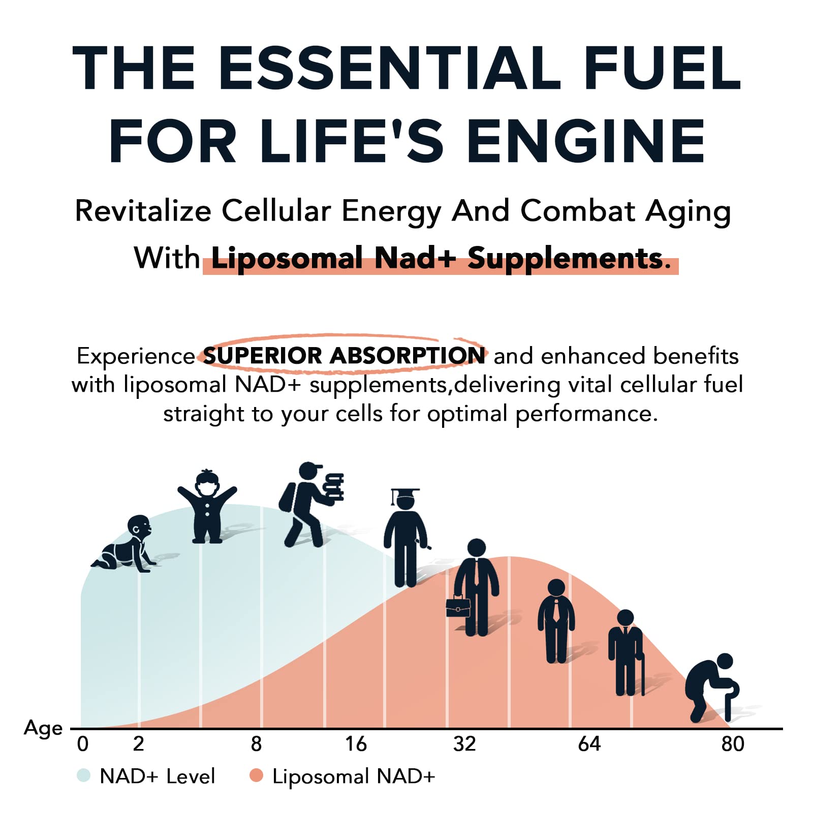 Fabamax 1600 mg Liposomal NAD Supplement, 98% Pure NAD+ Supplement, Superior Absorption, Alternative to Nicotinamide Riboside or NADH to Boost NAD+ for Aging Defense, Energy, Longevity, 120 Softgels Fabamax buy supplements canada