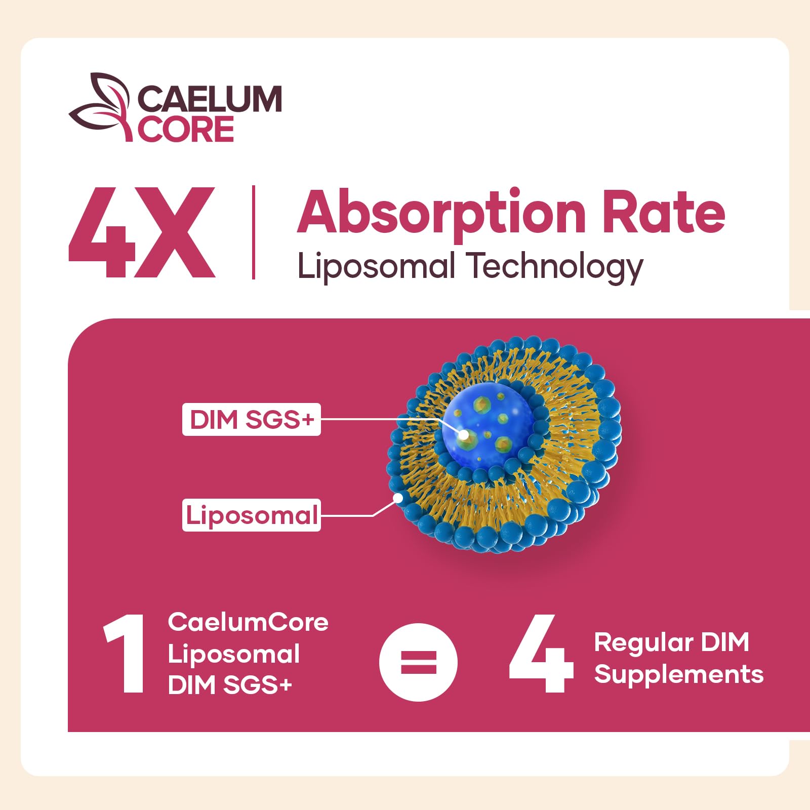 CEALMU CORE Liposomal DIM SGS Supplement - Estrogen Supplements for Women & Men Contains Sulforaphane Glucosinolate, Vitamin E, Pomegranate Fruit - Support Detox and Antioxidant (1 Pack) CEALMU CORE buy supplements canada