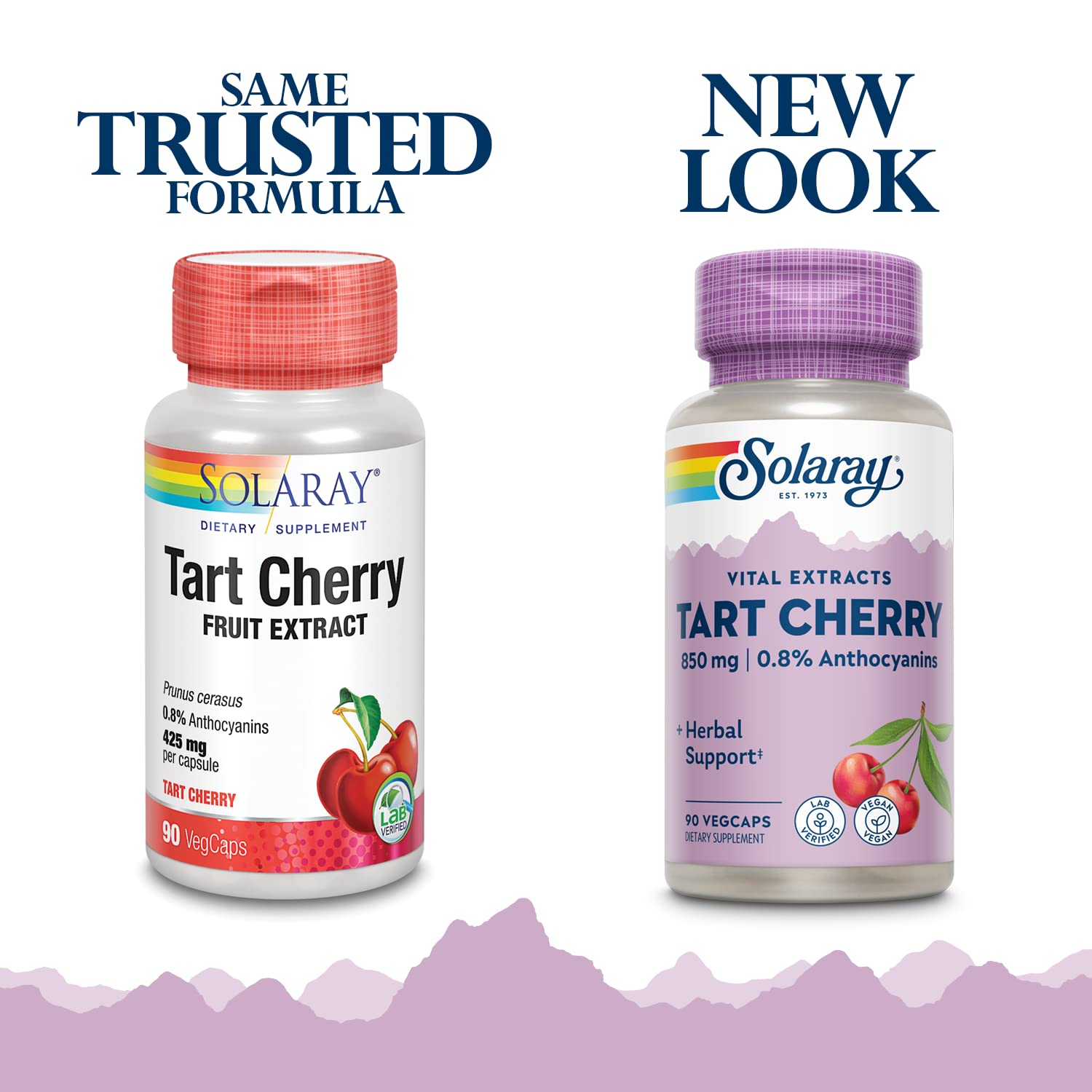 Solaray Tart Cherry Fruit Extract 850 mg - Tart Cherry Supplement with Antioxidants, Fruit Juice Extract with Flavonoids - 90 VegCaps SOLARAY buy supplements canada
