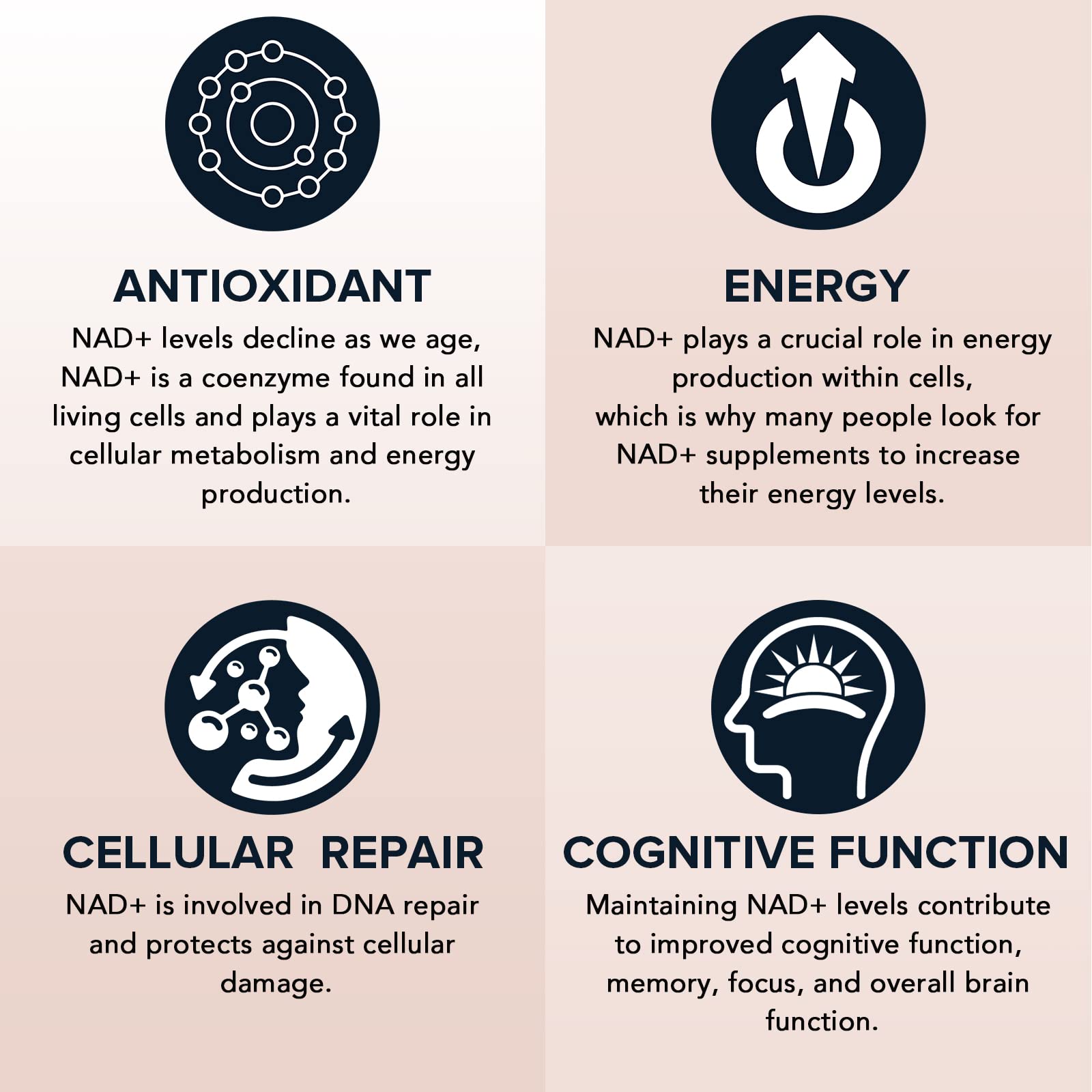 Fabamax 1600 mg Liposomal NAD Supplement, 98% Pure NAD+ Supplement, Superior Absorption, Alternative to Nicotinamide Riboside or NADH to Boost NAD+ for Aging Defense, Energy, Longevity, 120 Softgels Fabamax buy supplements canada