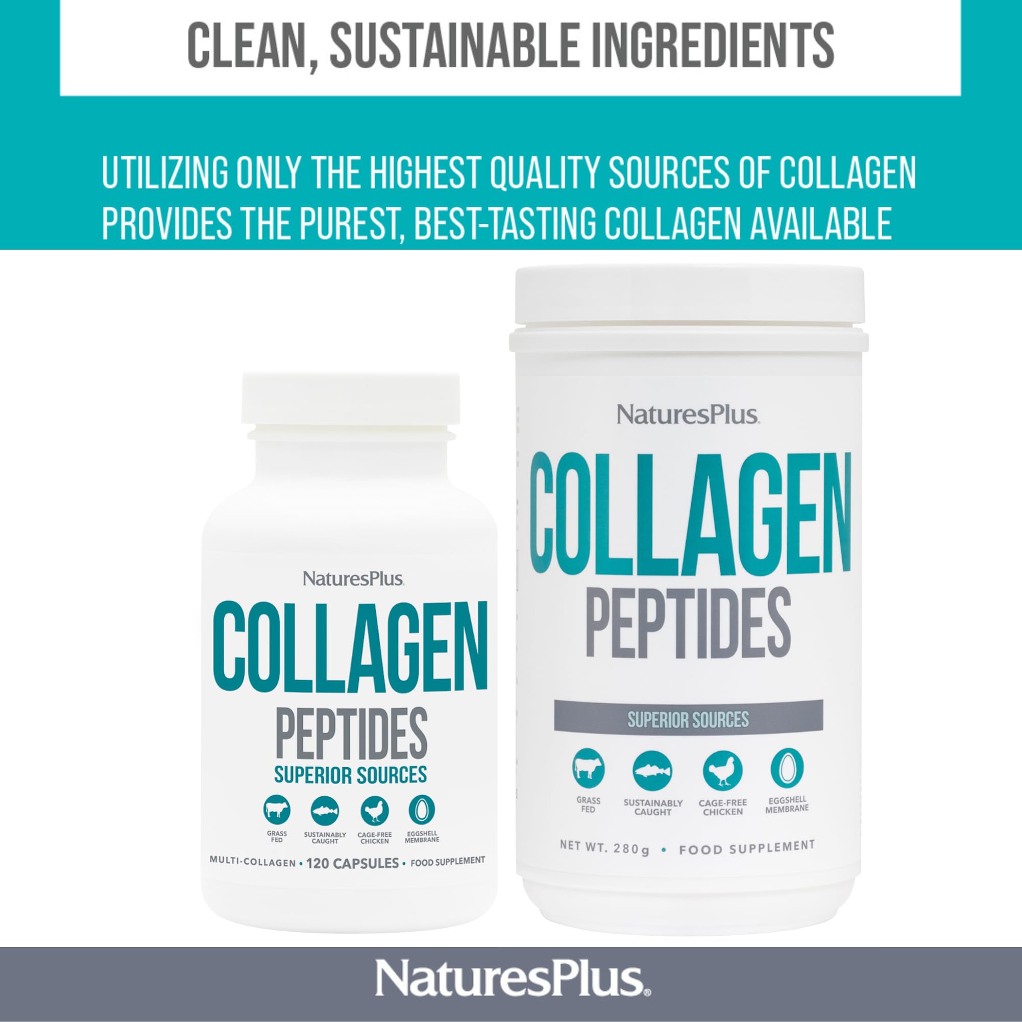 NaturesPlus Collagen Peptides Powder - Premium Hydrolysed Collagen Supplement, 6 Major Types Nature's Plus buy supplements canada