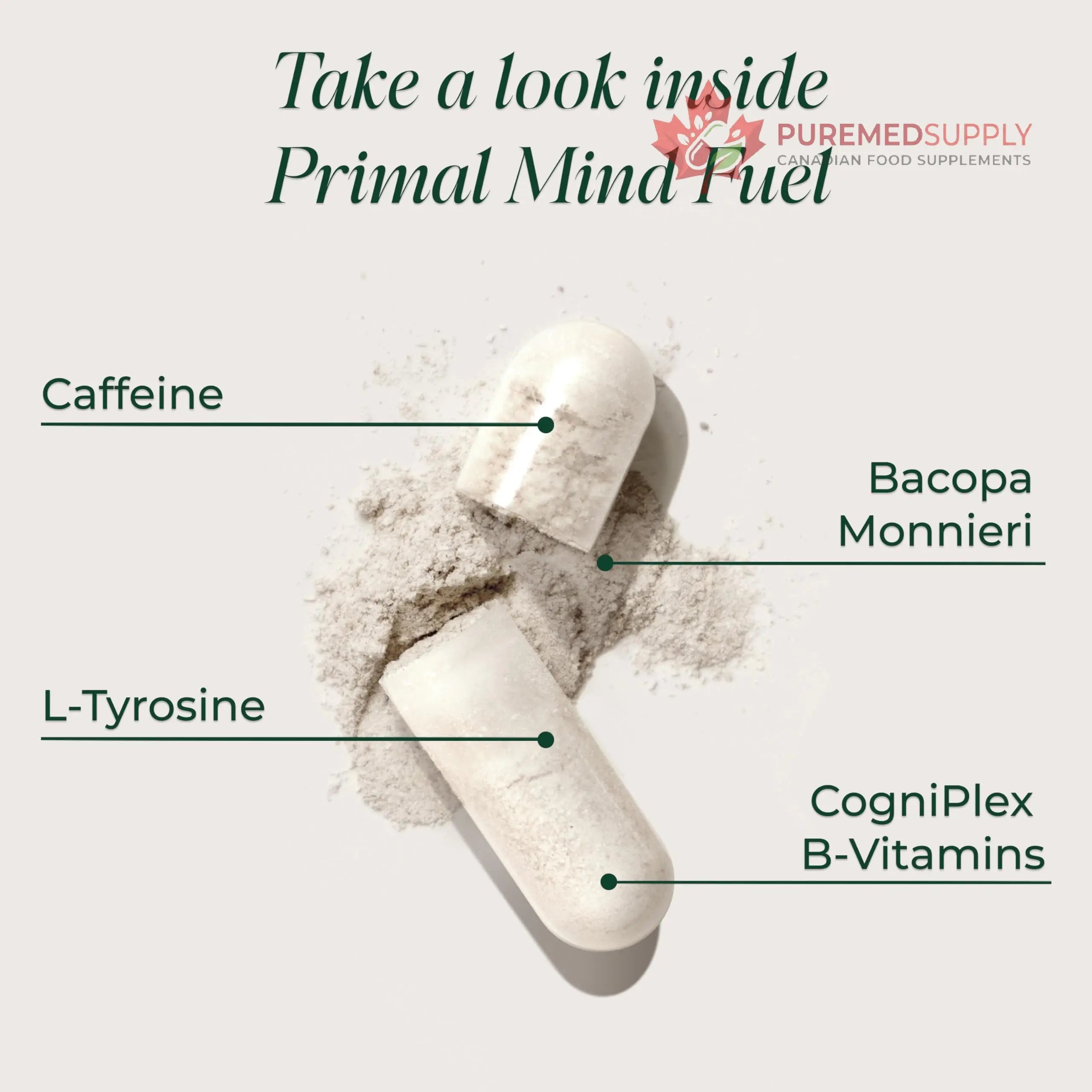 Brain Supplement by Primal Harvest, Primal Mind Fuel Brain Booster for Focus, Energy, Clarity, and Brain Health 30 Capsules Nootropics Brain Support Supplement for Men and Women Primal Harvest buy supplements canada
