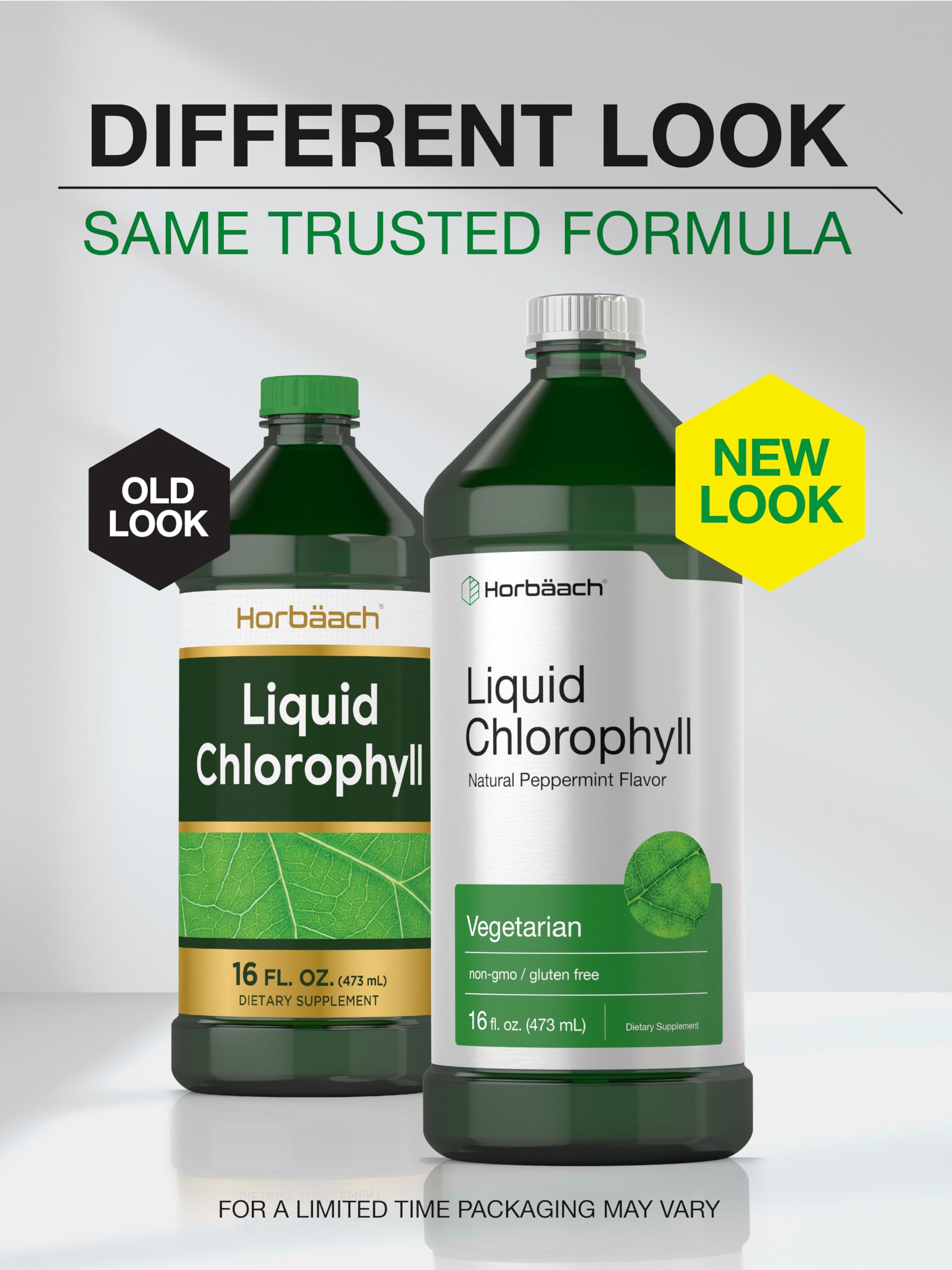 Chlorophyll Liquid Drops 100mg | 32 oz (2 x 16 oz Bottles) | Natural Peppermint Flavor Horbäach buy supplements canada