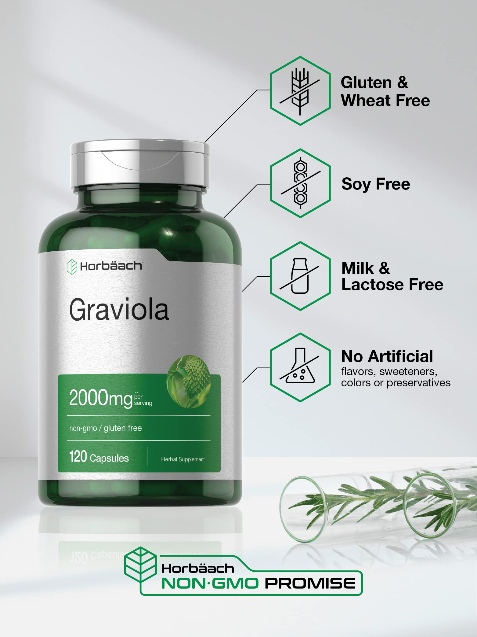 Graviola Extract 2000 mg 120 Capsules With Graviola Proprietary Blend Ingredient Horbäach buy supplements canada