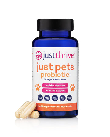 Just Thrive Just Pets Probiotic - Daily Digestive Probiotics for Dogs and Cats - 4 Billion CFUs Pet Probiotic, 30 Capsules Just Thrive buy supplements canada