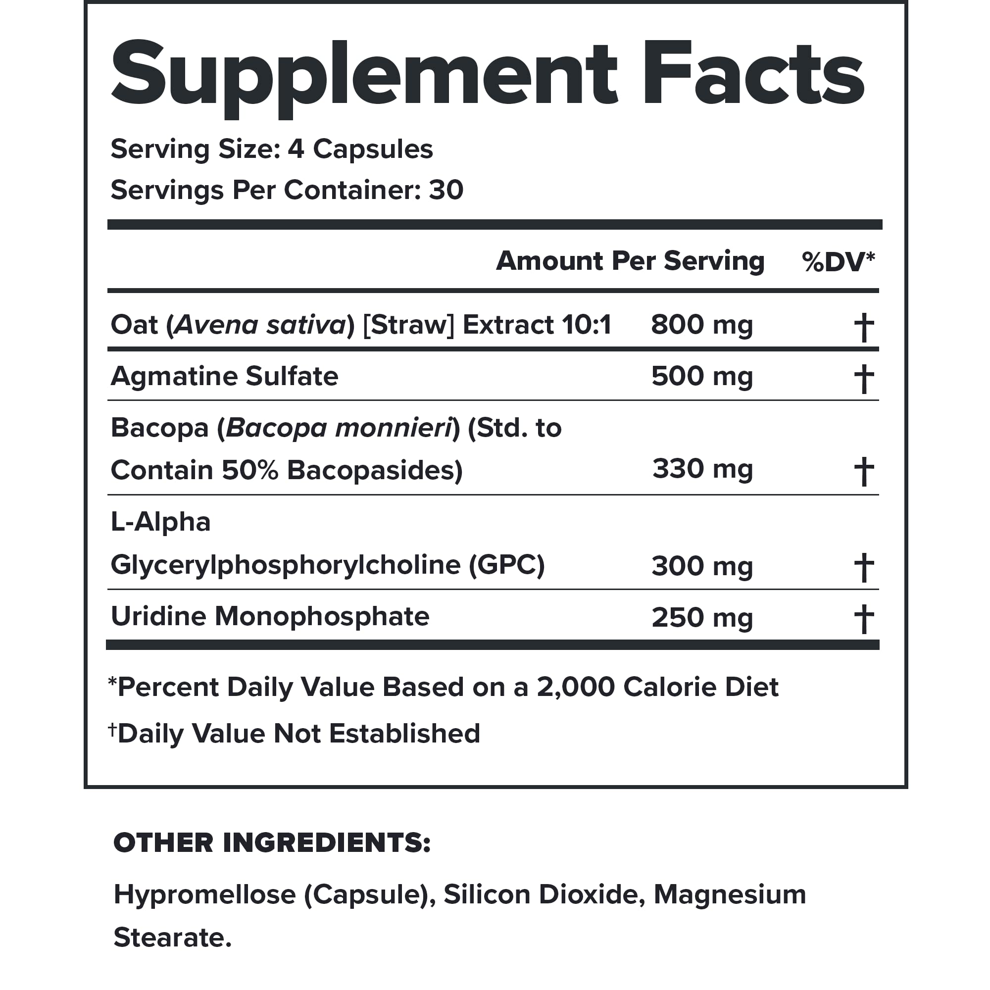 LEGION Athletics Ascend Nootropic - All-Natural Brain Supplements for Memory and Focus - Nootropics Brain Support Supplement with Alpha-GPC - Brain Supplement for Alertness & Mood Support, 30 Servings LEGION buy supplements canada