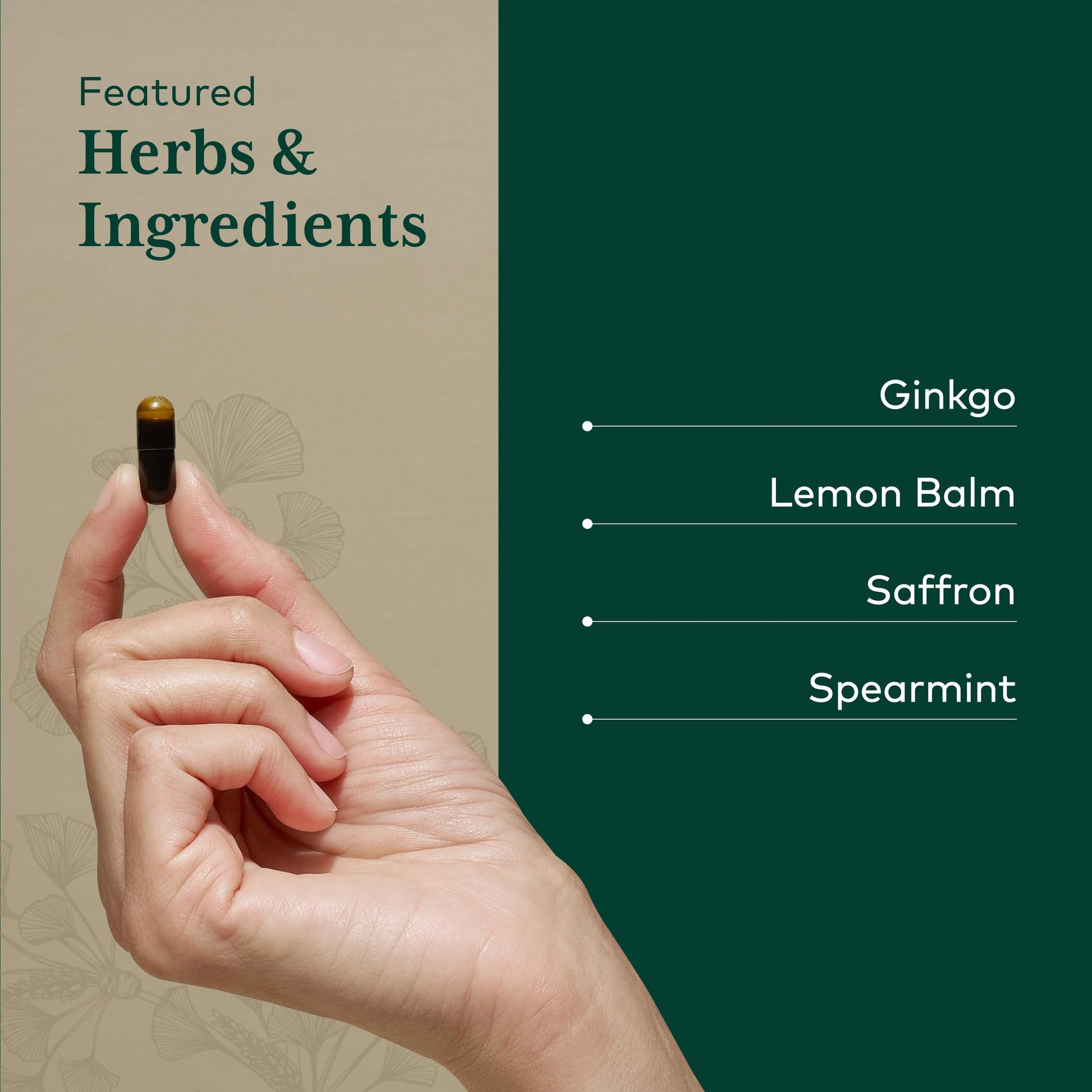 GAIA HERBS PRO Nootropic Focus - Brain Health Support Supplement* - Nootropic Supplement with Saffron, Ginkgo Leaf Extract & Lemon Balm - Vegan, Gluten-Free - 40 Liquid Phyto-Caps (20 Servings) Gaia Herbs PRO buy supplements canada