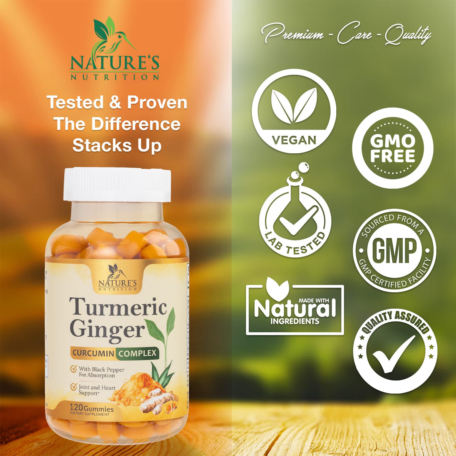 Turmeric Ginger Gummies - Vegan Turmeric Curcumin Gummy with 95% Curcuminoids Nature's Nutrition buy supplements canada