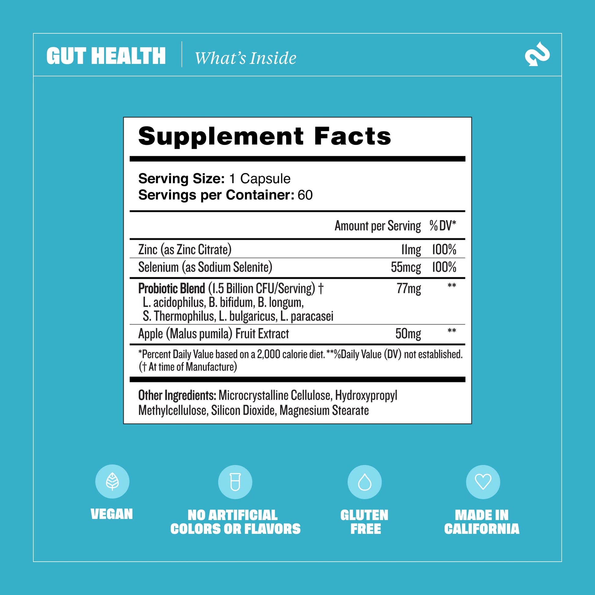 Health By Habit Gut Health Supplement (60 Capsules) - Contains 1.5 Billion probiotic Health By Habit buy supplements canada