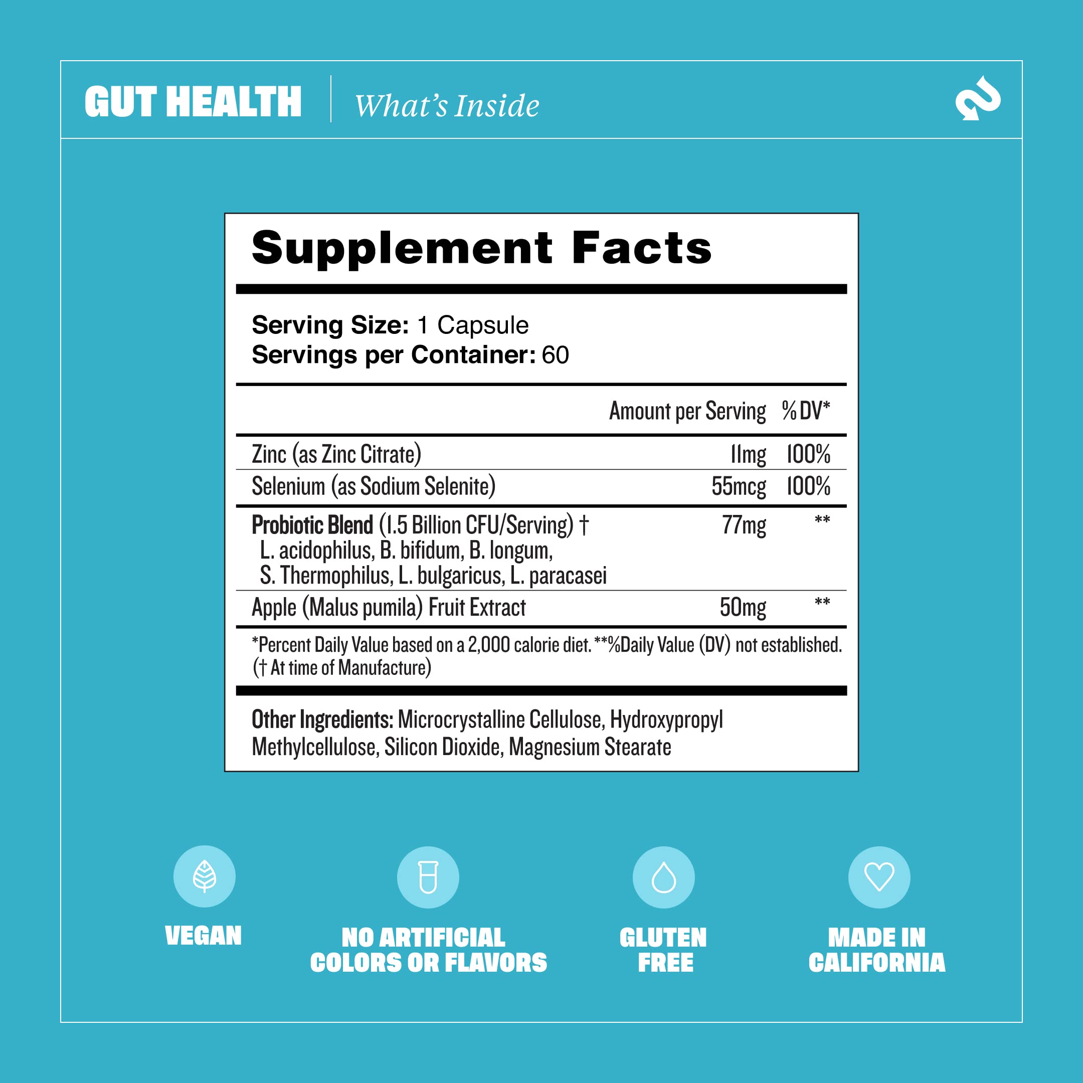 Health By Habit Gut Health Supplement (60 Capsules) - Contains 1.5 Billion probiotic Health By Habit buy supplements canada