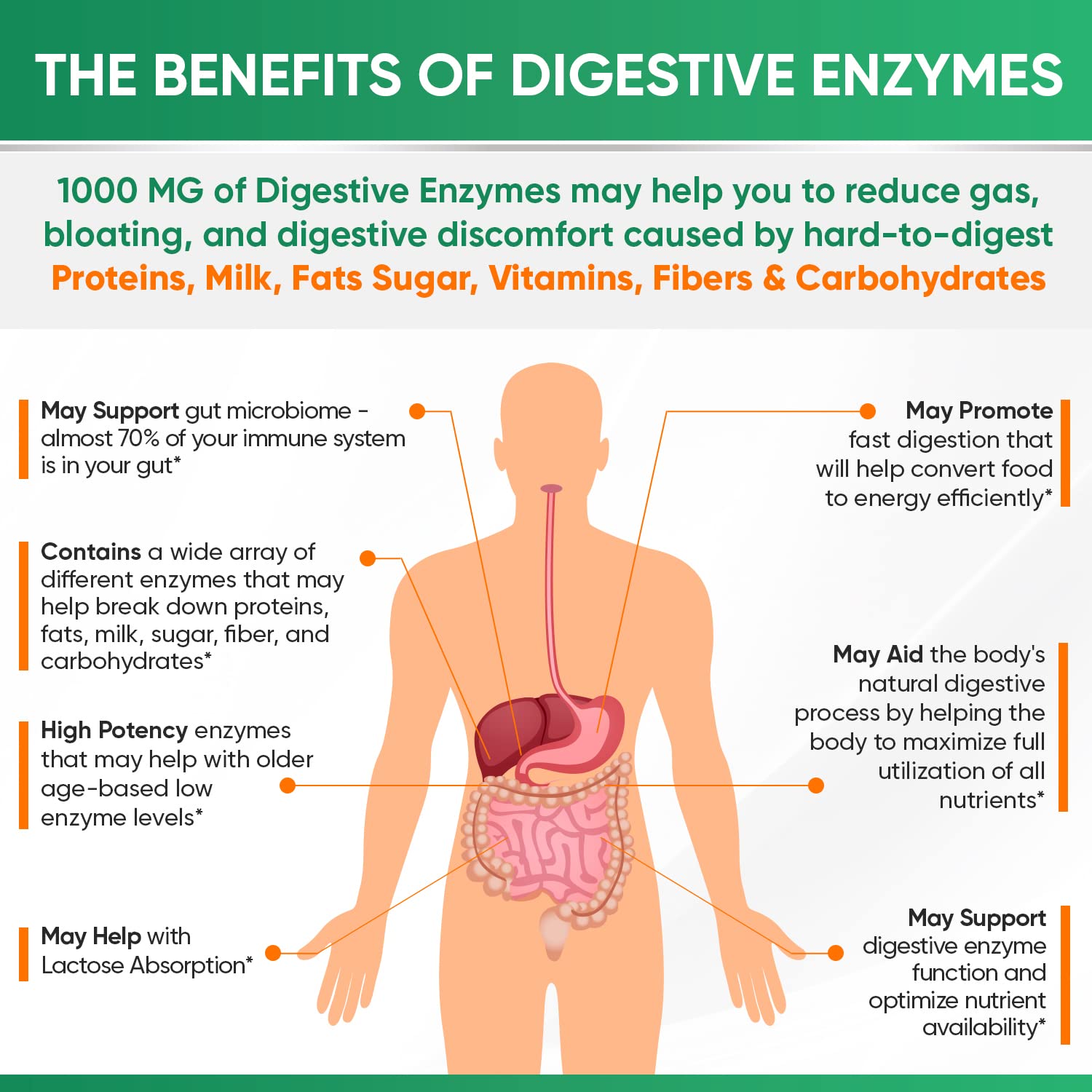 Wholesome Wellness Digestive Enzymes 1000MG Plus Prebiotics & Probiotics Supplement, 180 Capsules, Organic Plant-Based Vegan Formula for Digestion Wholesome Wellness buy supplements canada