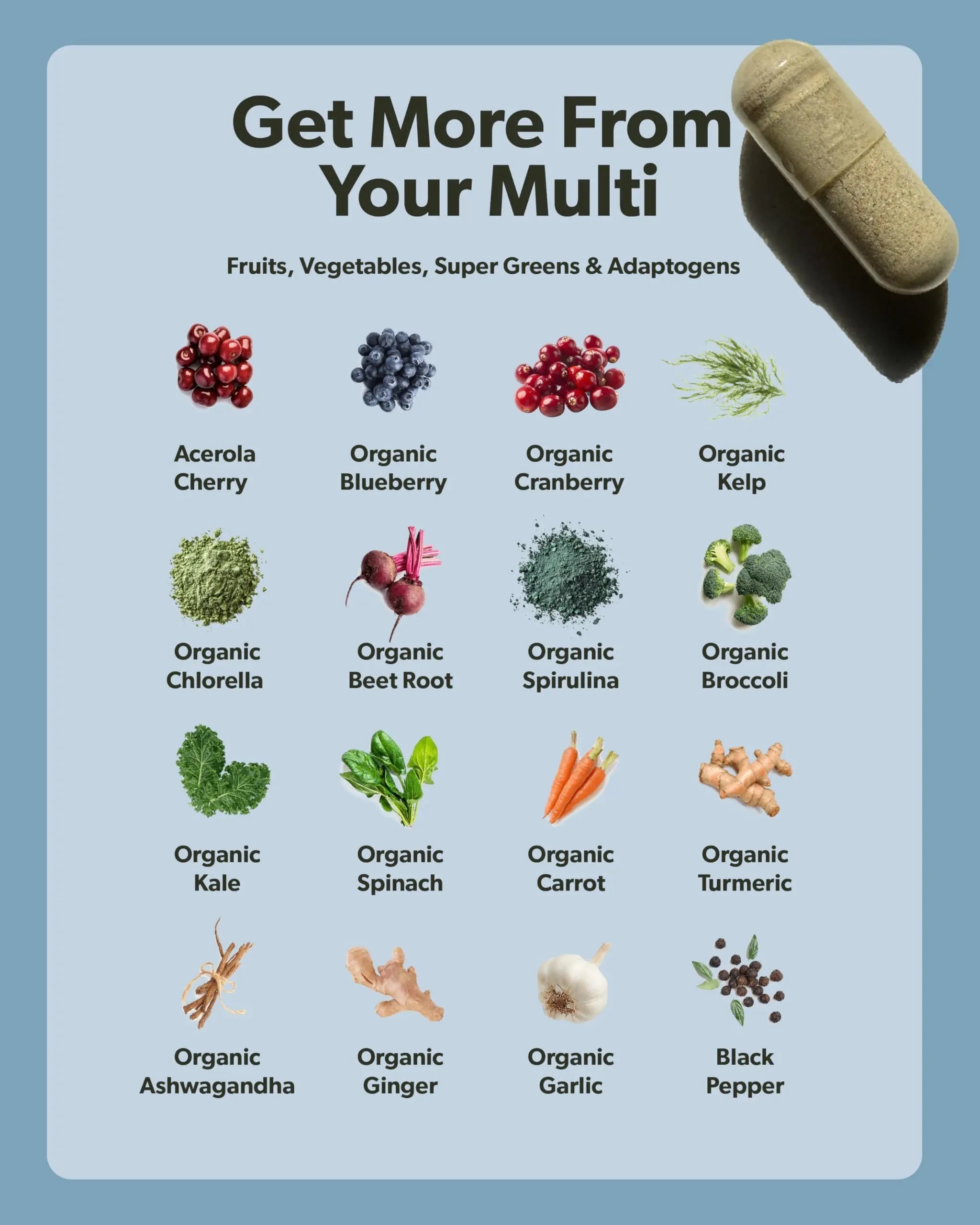 Multivitamin for Men - Daily Men’s Multivitamin - Methylated B Complex with Whole Food Ingredients, Vitamin B12, Folate sapling buy supplements canada