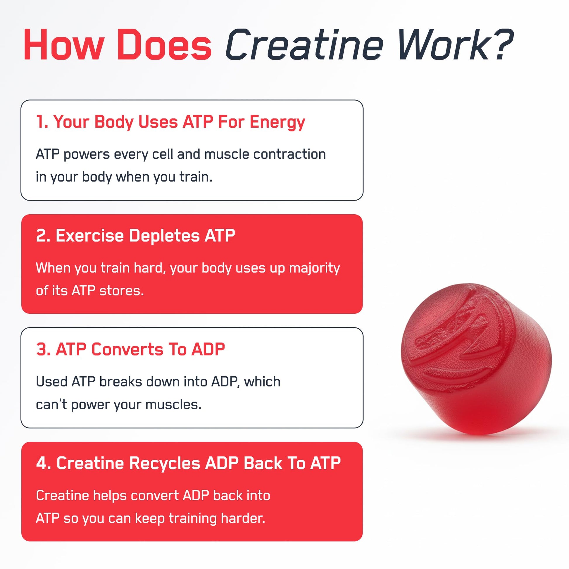 SteelFit Creapure Creatine Monohydrate Gummies for Men & Women, Juicy Watermelon - Gym Workout Nutritional Supplements for Muscle Gain, Brain Health & Strength Building Dietary Supplement, 120 Gummies SteelFit buy supplements canada