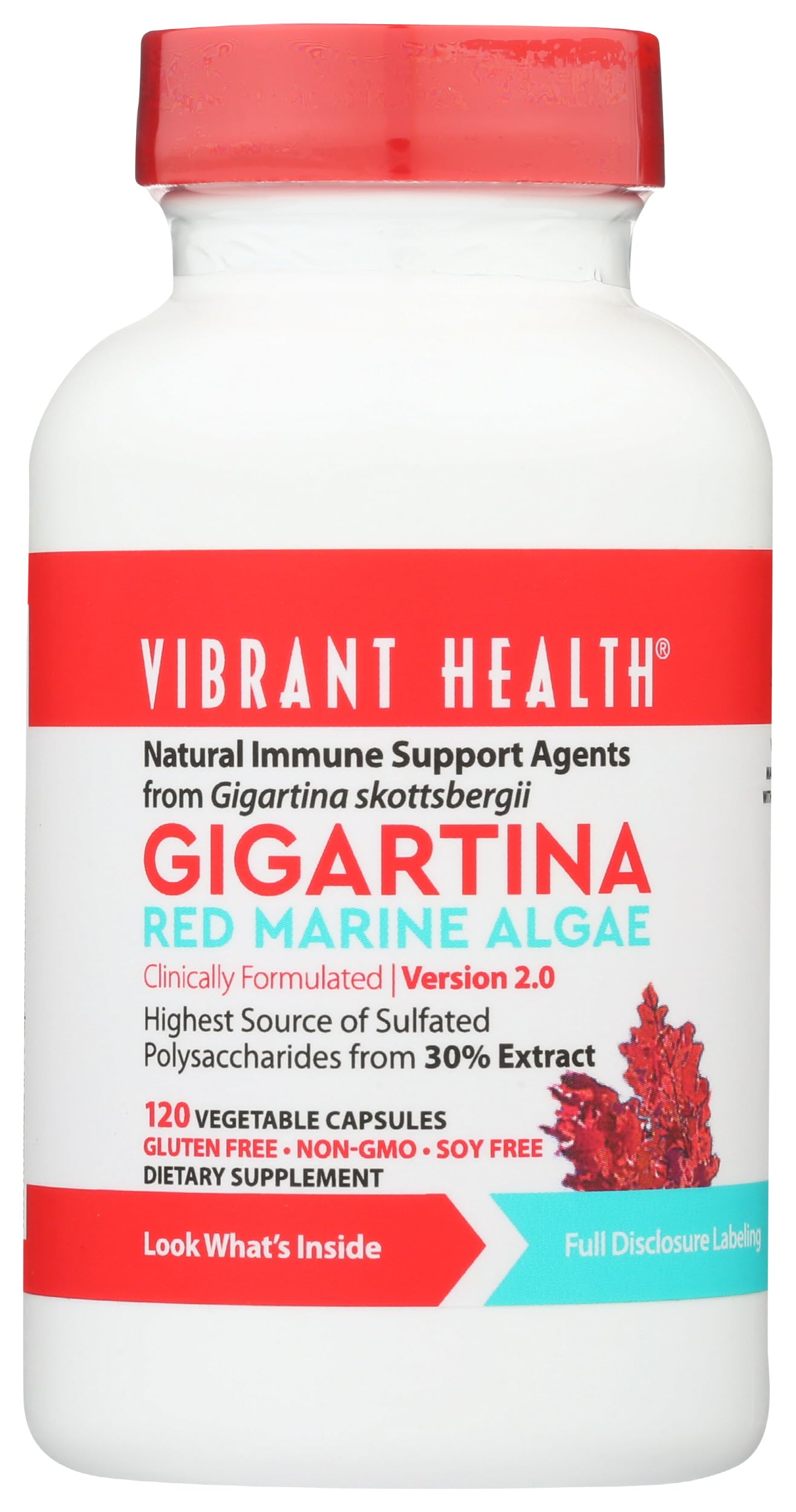 Vibrant Health, Gigartina Red Marine Algae, Plant-Based Immune Support, 60 Capsules Vibrant Health buy supplements canada