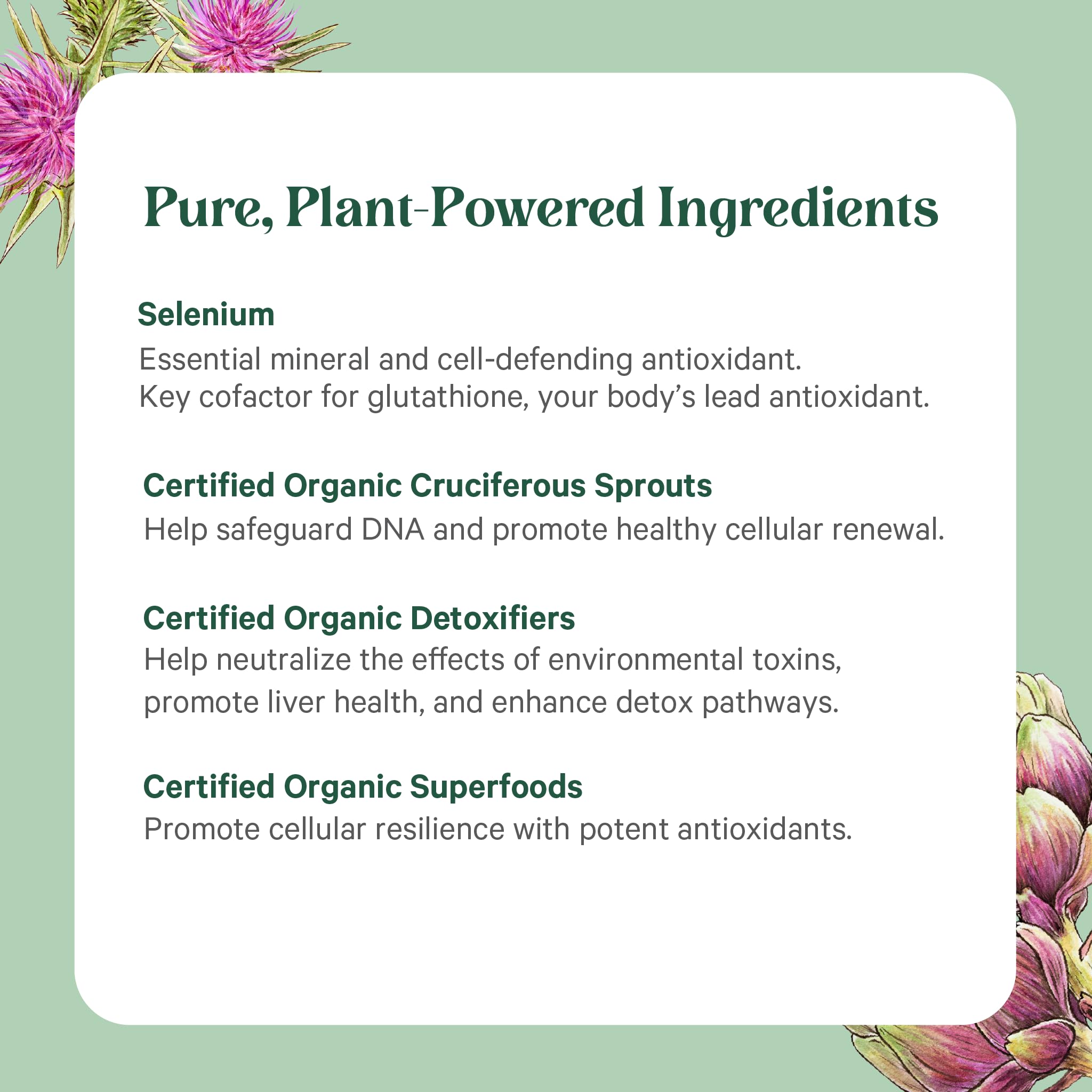 PURE SYNERGY Cell Protector | Cellular Health Supplement | Cell and Immune Support with Selenium and Organic Cruciferous Vegetables | for Healthy Aging & Detoxification (120 Capsules) PURE SYNERGY buy supplements canada