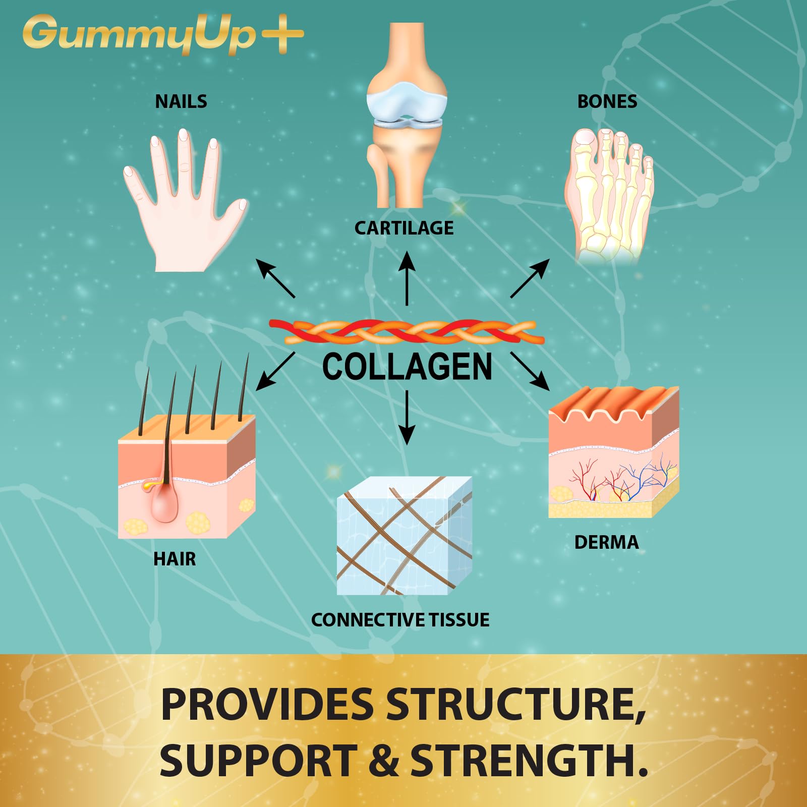 Hydrolysed Collagen Gummies with Biotin, 60 Sugar Free Natural Pineapple Flavoured Gummies ZA ZACANNA buy supplements canada