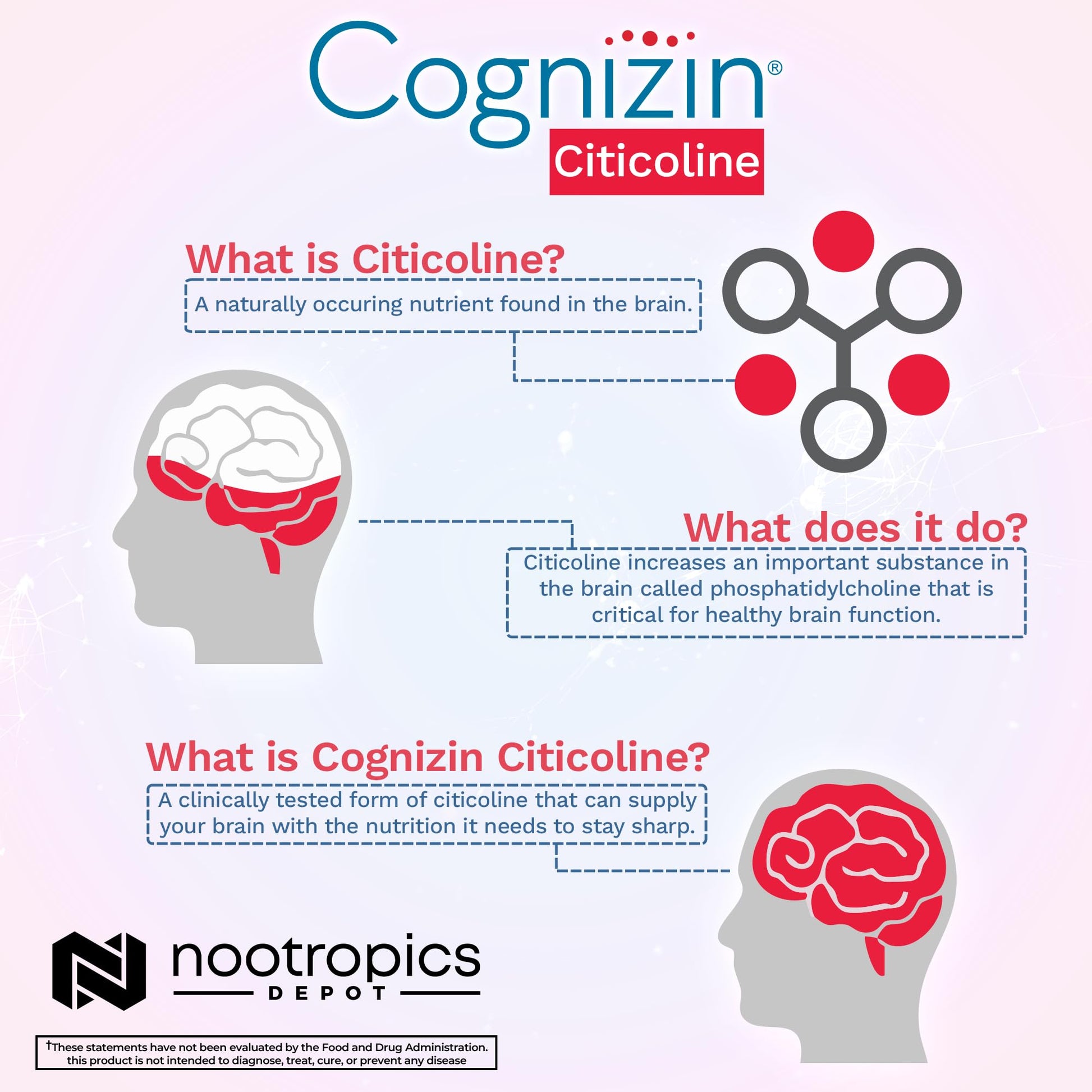 Nootropics Depot Cognizin Citicoline Capsules | 60 Count | Choline Supplement | Brain Health Supplement | Regulates Memory and Cognitive Function | Supports Attention, Focus and Recall Nootropics Depot buy supplements canada