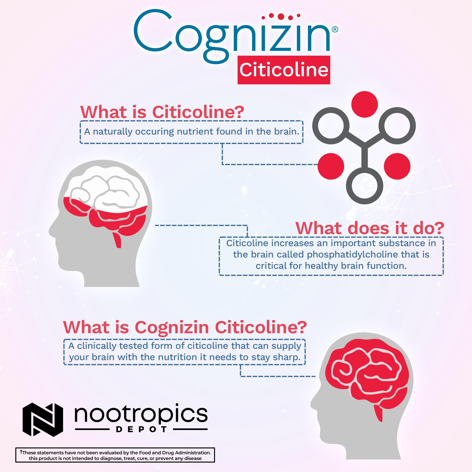 Nootropics Depot Cognizin Citicoline Capsules | 60 Count | Choline Supplement | Brain Health Supplement | Regulates Memory and Cognitive Function | Supports Attention, Focus and Recall Nootropics Depot buy supplements canada