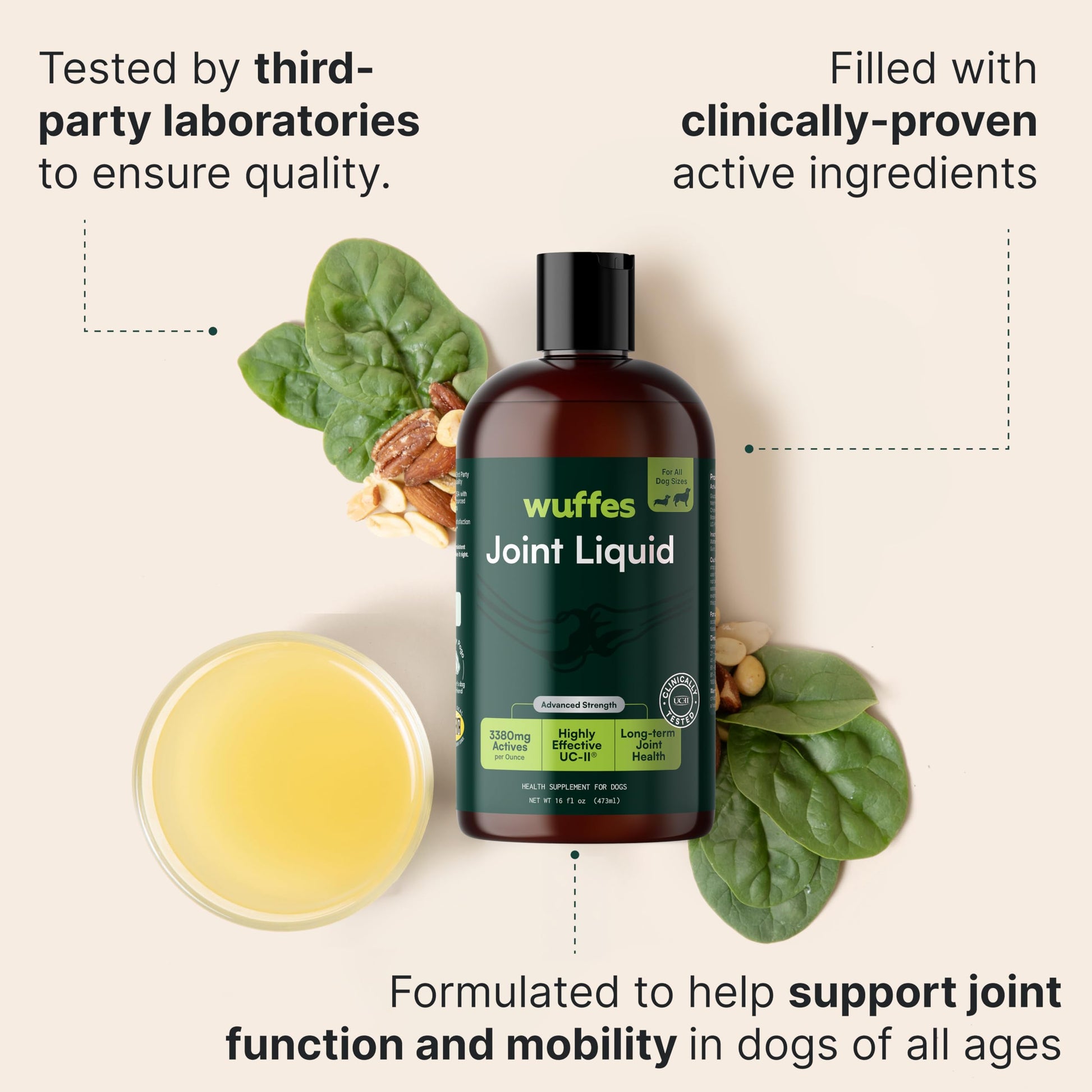 Wuffes Advanced Joint Liquid for Dogs, Hip & Joint Support Supplement with Glucosamine, Chondroitin, UC-II® Collagen, and MSM, for Small & Large Breeds, 16 Oz Wuffes buy supplements canada