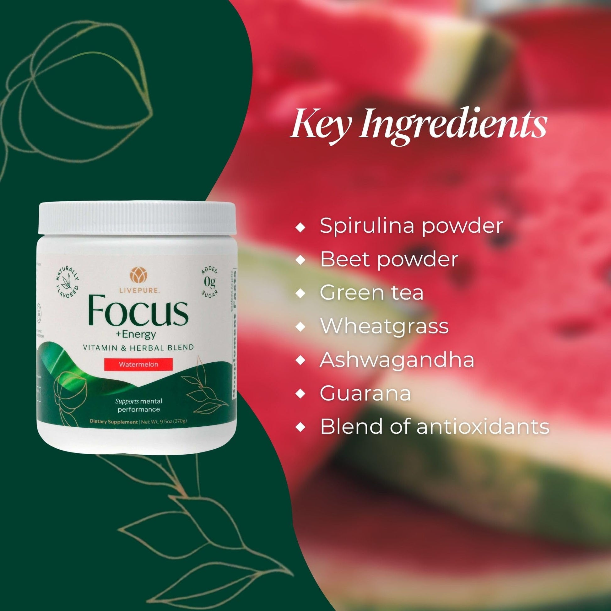 PURE Focus + Energy Tub Drink Mix | Natural Caffeine & Antioxidants from Botanicals | Supports Alertness, Clarity & Energy | Zero Sugar, No Artificial Sweeteners | 9.5 oz | Watermelon Flavor PURE buy supplements canada