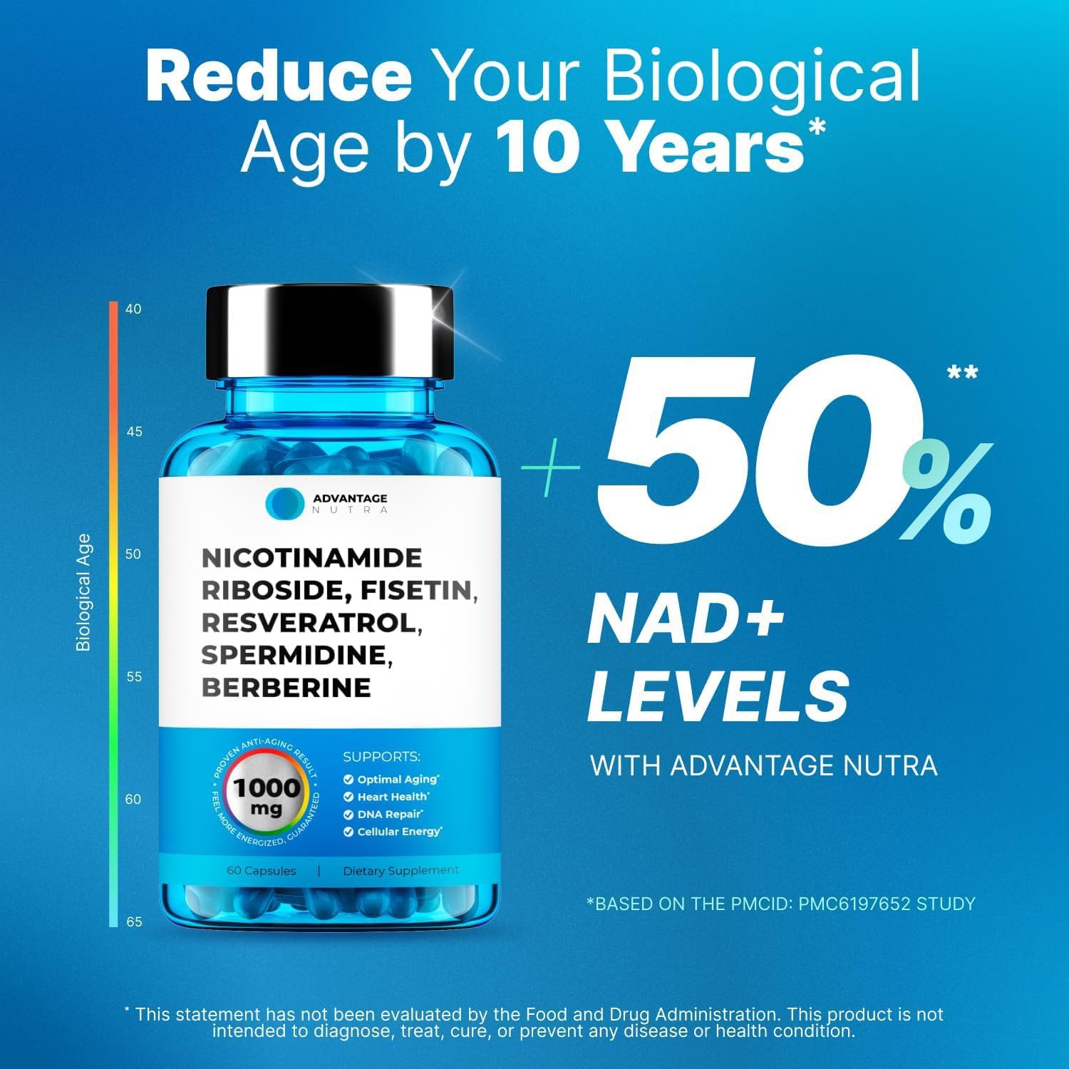 AdvantageNutra Liposomal Nicotinamide Riboside NR Supplement Resveratrol NAD : Nicotinamide 500mg w/Fisetin, Resveratrol Powder Spermidine Berberine NAD Resveratrol Supplement 500 mg - 60 caps 1 Pack AdvantageNutra buy supplements canada