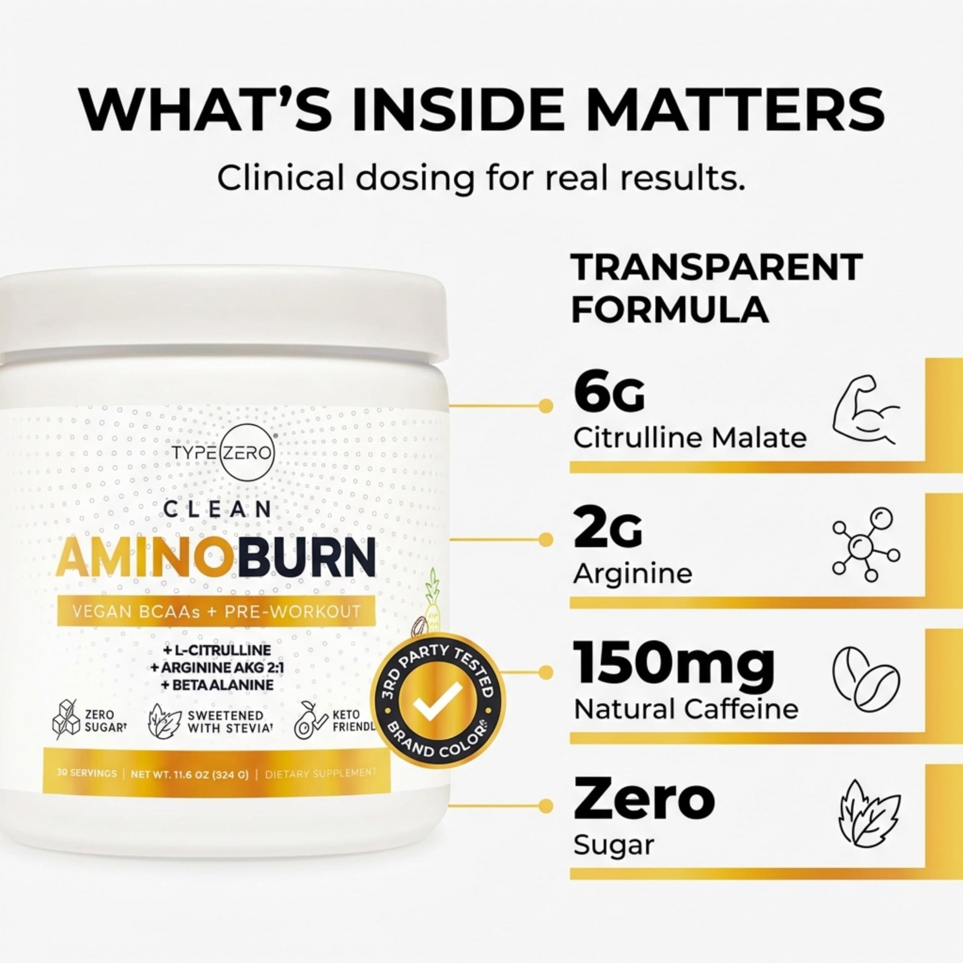 Type Zero Amino Burn Vegan BCAAs + Pre-Workout (Pina Colada Flavored) Type Zero buy supplements canada