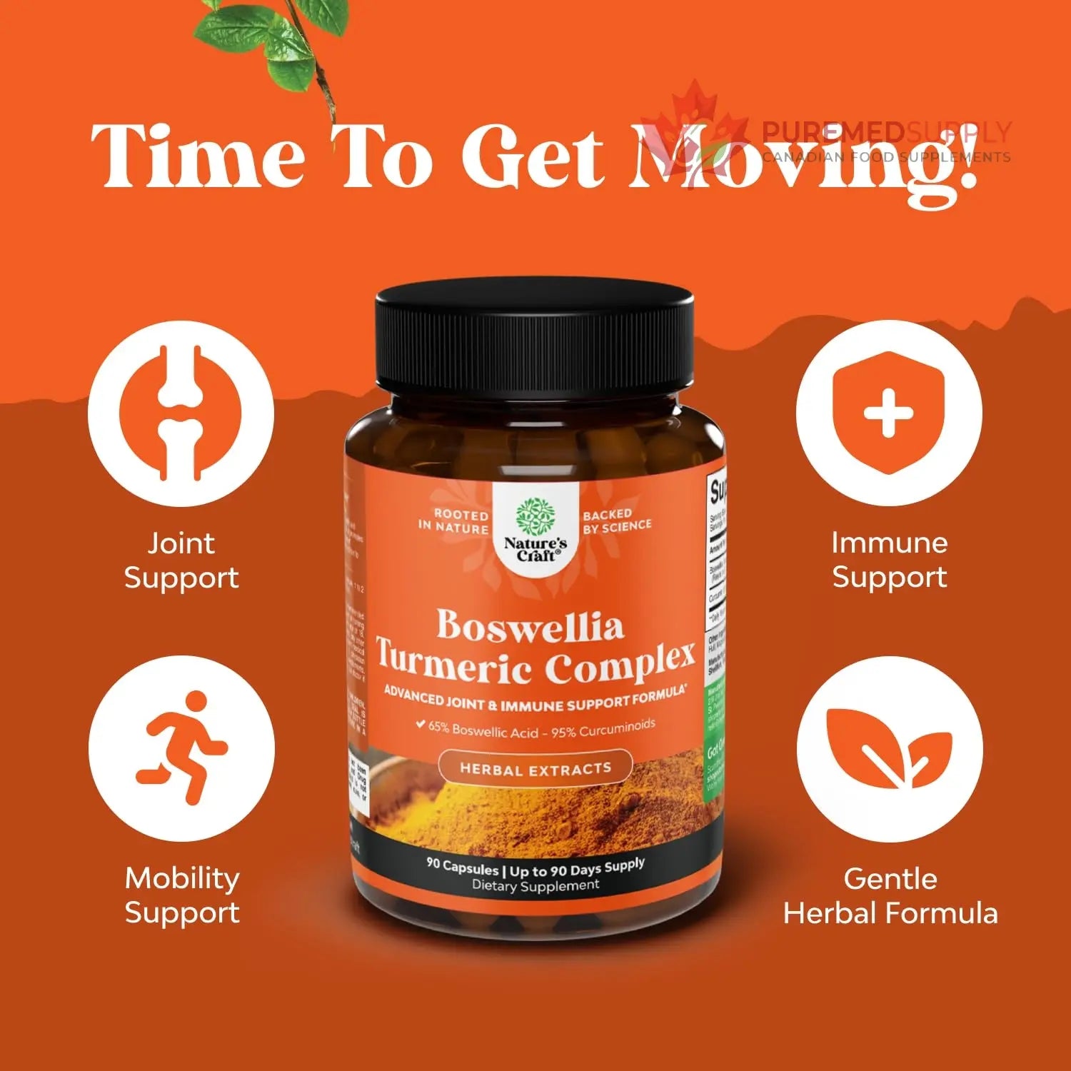 Boswellia Extract Capsules with Turmeric - Advanced Immune Health Support Supplement - Turmeric & Boswellia Serrata Capsules 500mg per Serving for Body Detox & Healthy Joints - 90 Count Natures Craft buy supplements canada