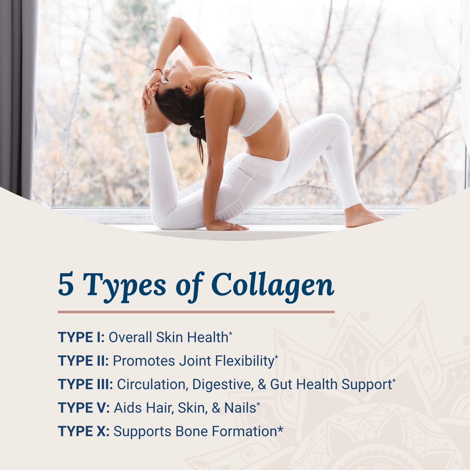 Live Conscious Beyond Collagen Multi Collagen Capsules - Types I, II, III, V & X - Hydrolyzed Blend with Biotin & Vitamin C for Hair, Skin, Nails 90 Capsules Live Conscious buy supplements canada