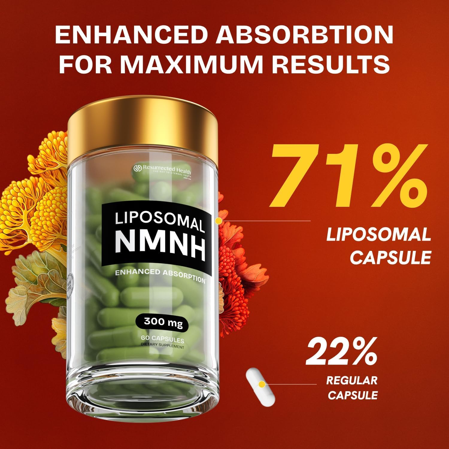 Resurrected Health Liposomal NMNH Supplement 300mg – Boosts NAD Anti-Aging, Energy & Focus – NMM Capsules Alternative to for Cellular Vitality – Third-Party Tested, 60 Vegan Capsules | 1 Pack Resurrected Health buy supplements canada
