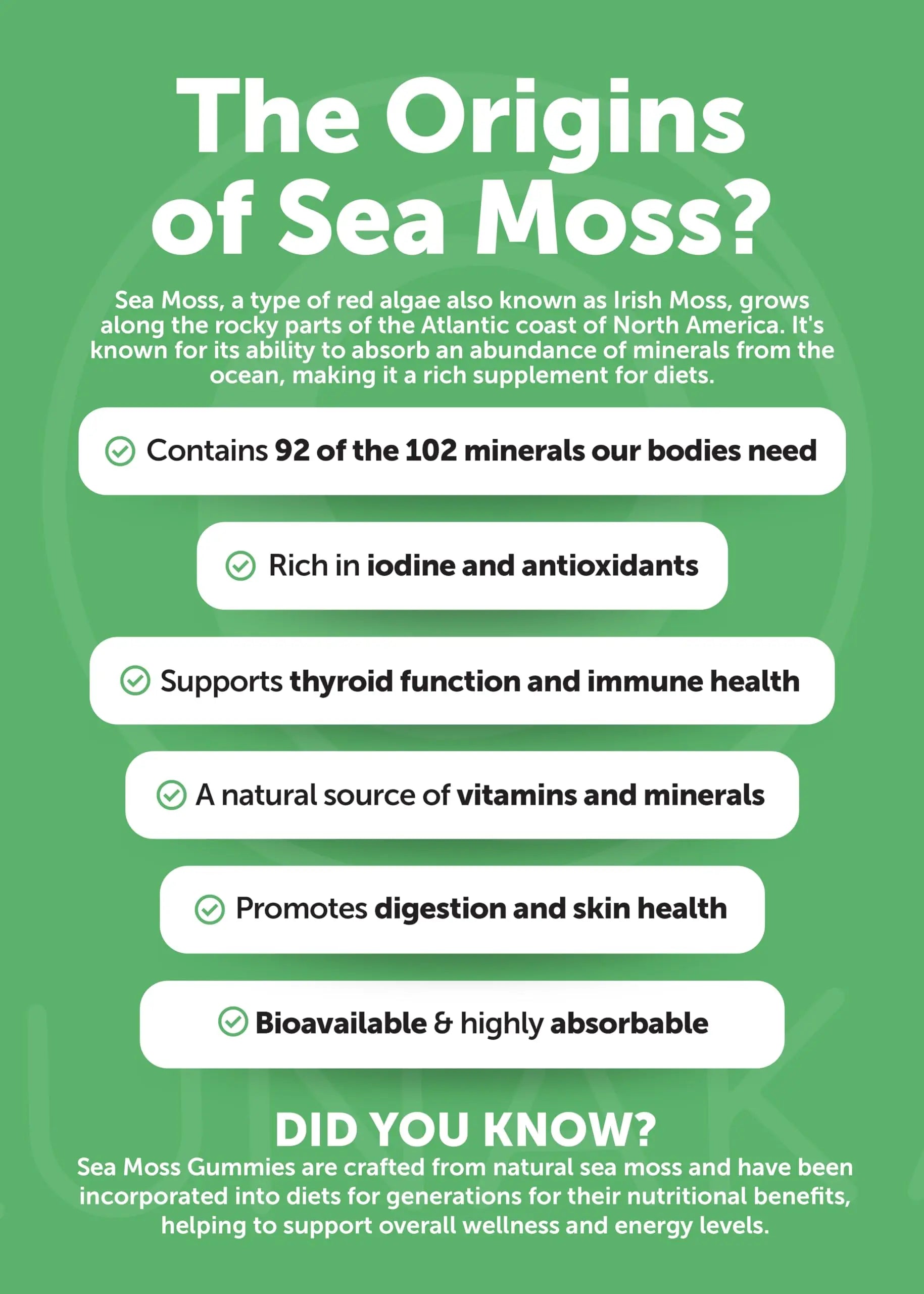 Lunakai USA Made Superfood Fruits & Veggies Supplement & Irish Sea Moss Bundle with 4 Blends, Black Seed Oil & Ashwagandha for Immune & Wellness Support Lunakai buy supplements canada