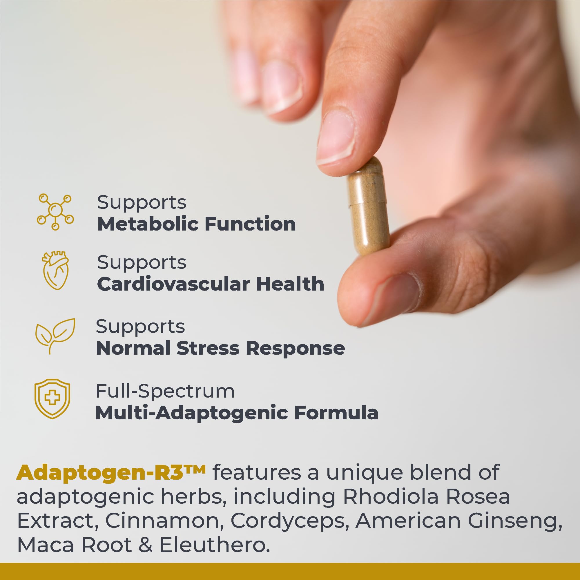 Premier Research Labs Adaptogen-R3 Supplement - Rhodiola Rosea Supplement with Maca Root, Adaptogen Complex for Stress, Heart & Metabolic Health - 90 Vegetarian Capsules Premier Research Labs buy supplements canada