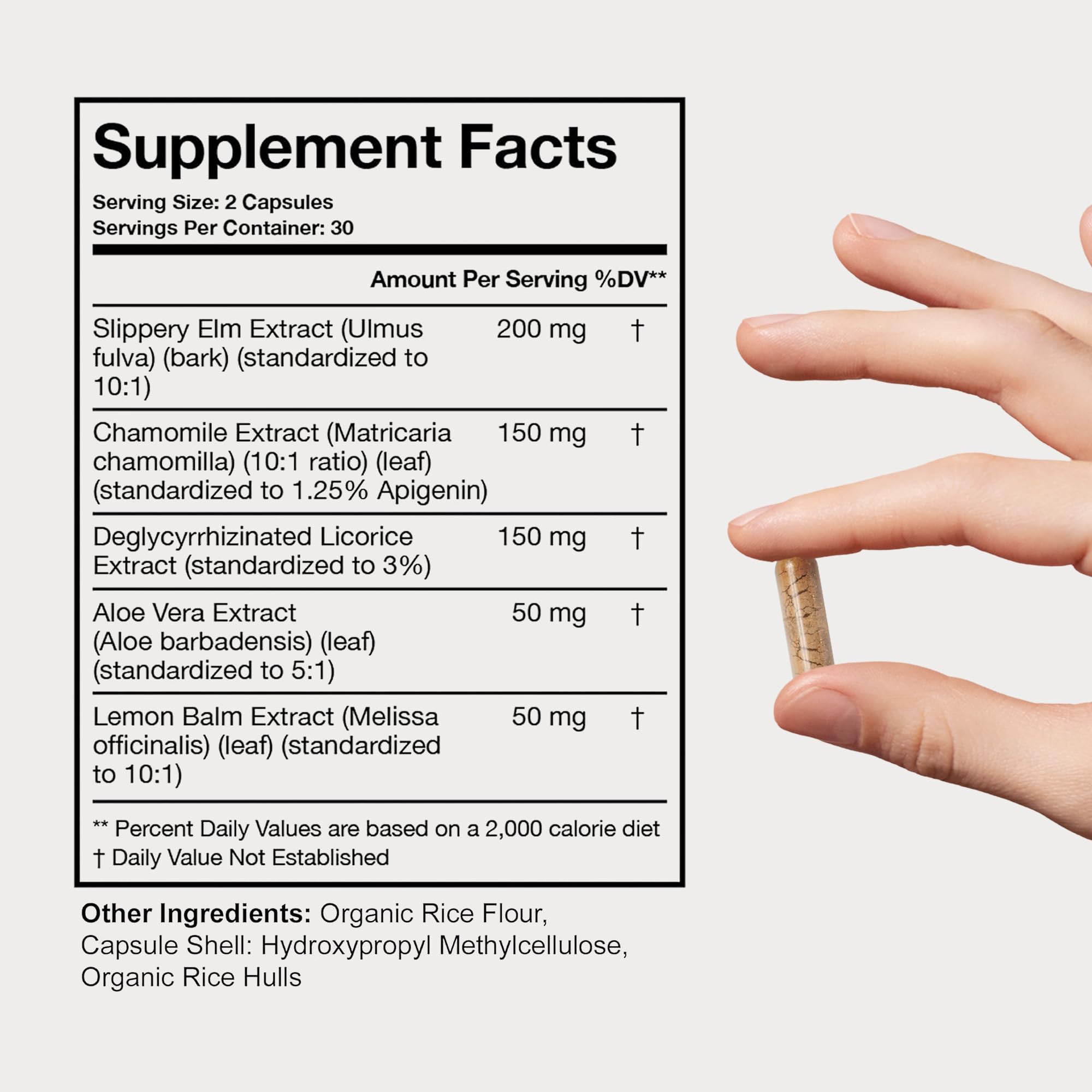 Terra Health Essentials Acid Relief - Plant Based Digestive Support Supplement for Comfortable Gut Function - Lemon Balm, Slippery Elm, Terra Health Essentials buy supplements canada