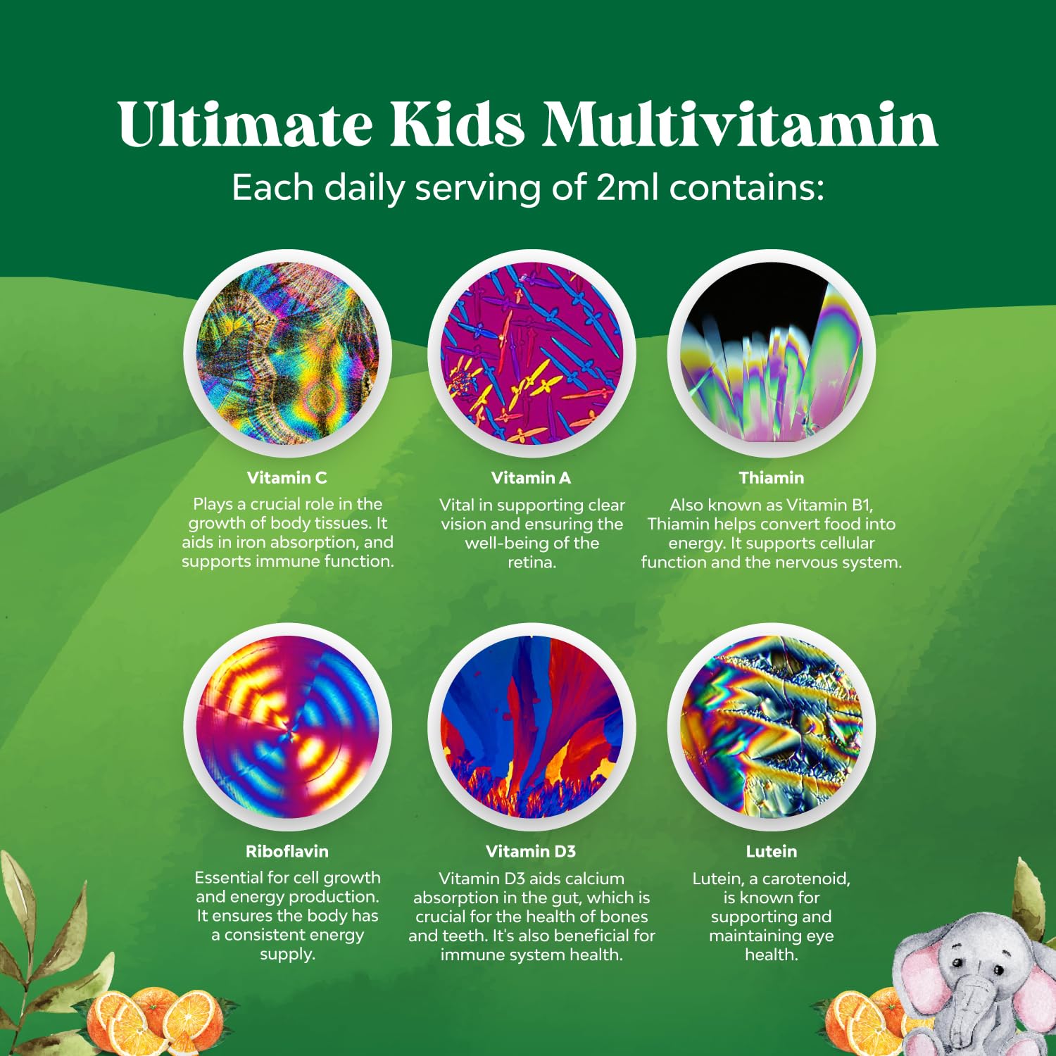 Bundle of Kids DHA Omega 3 Gummies - Fatty Acids Omega 3 6 9 for Brain Immune Strength Vision Focus Support and Liquid Multivitamin for Kids Immunity Support Natures Craft buy supplements canada