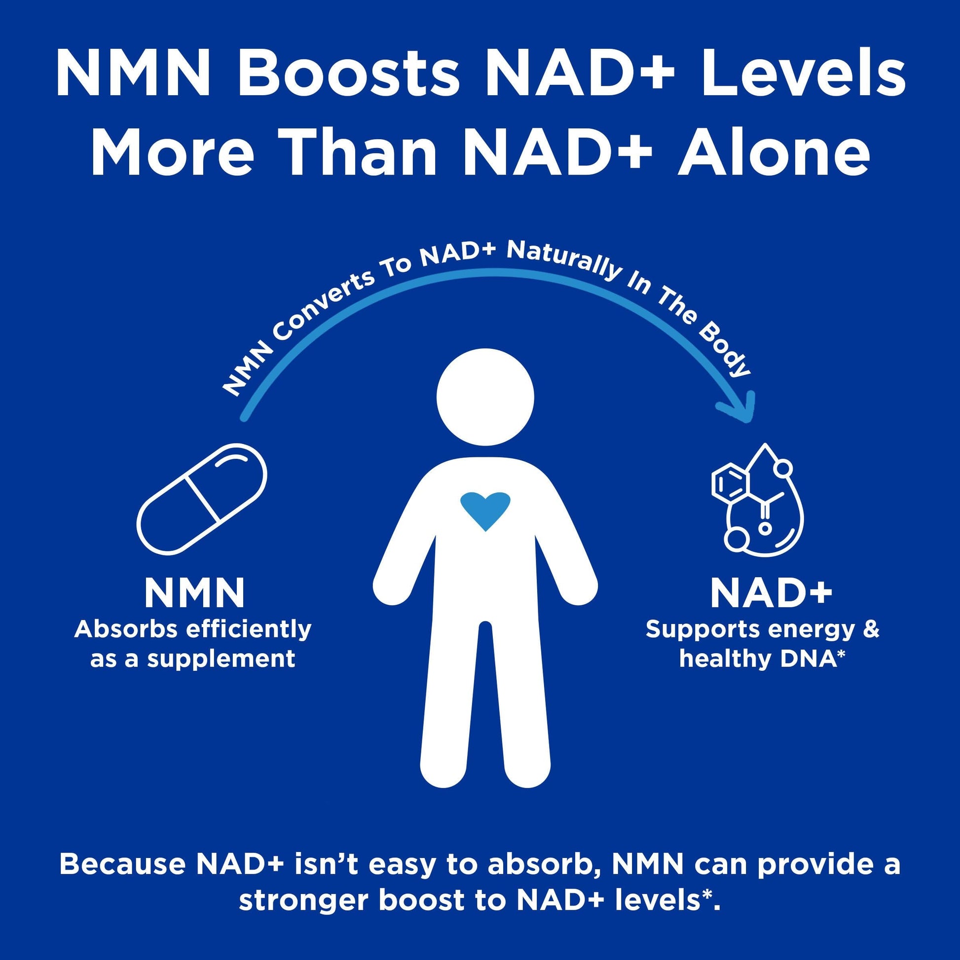 GNC Preventive Nutrition NMN, 150 mg, NAD+ Booster Supplement for Cellular Energy & DNA Repair, Anti-Aging Support, 60 Capsules, Gluten Free, 60 svg GNC buy supplements canada