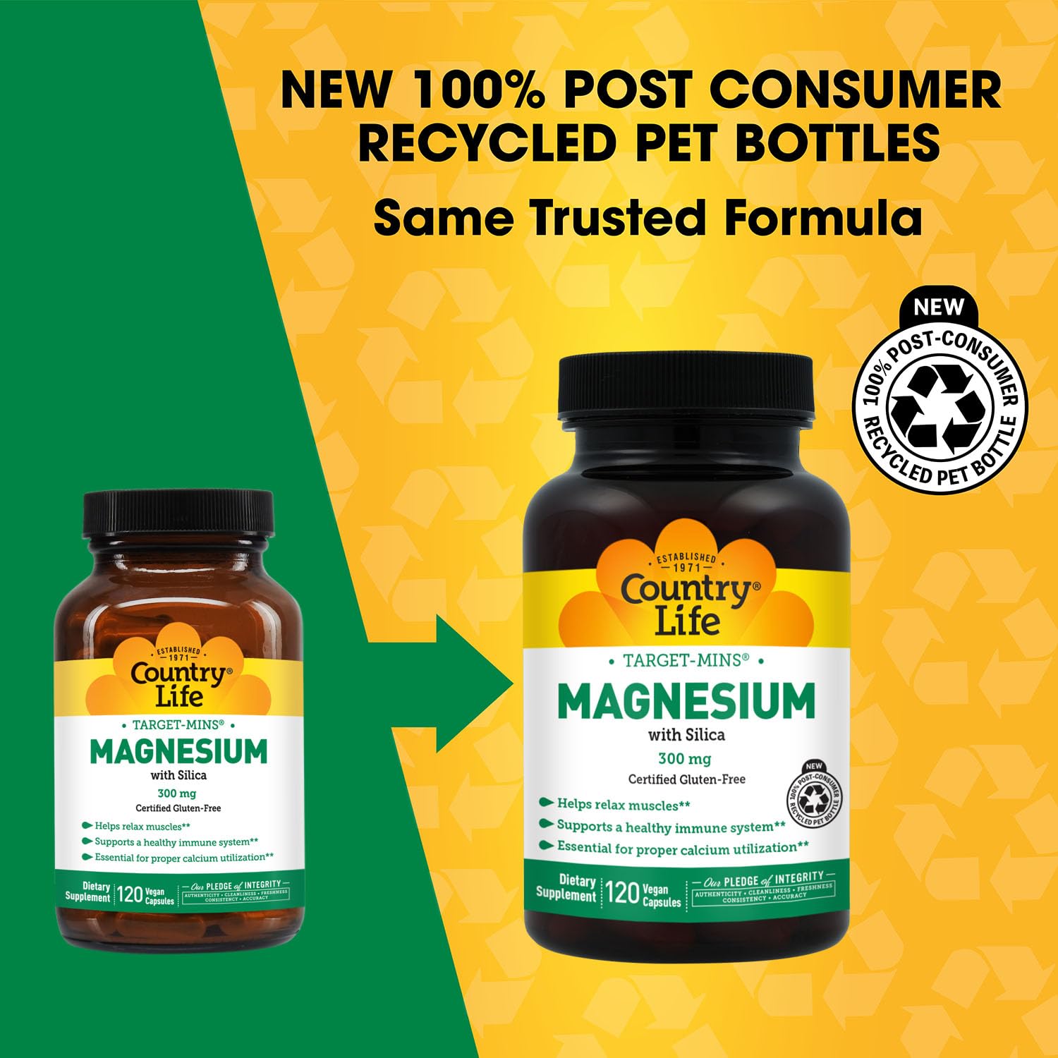 Target-Mins Magnesium with Silica 300 mg 120 Vegetarian Capsules Country Life buy supplements canada