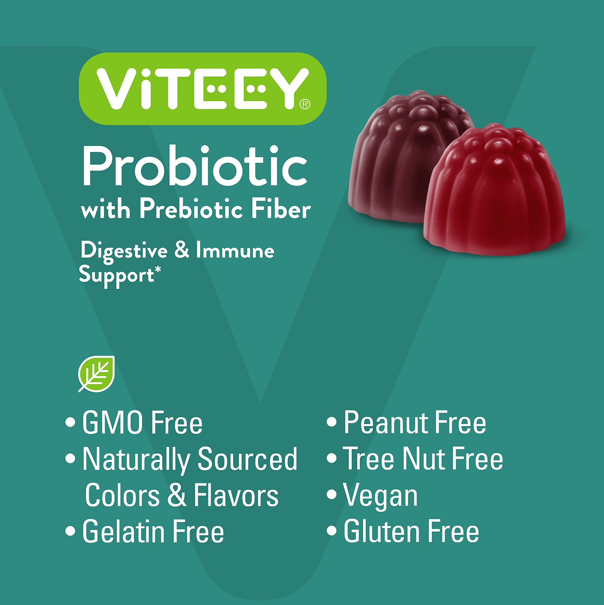 Viteey Probiotic Gummies with Prebiotics – Gut Health Supplements for Digestive Health – 2 Billion CFUs – Vegan, Gluten-Free – 60 Count Viteey buy supplements canada