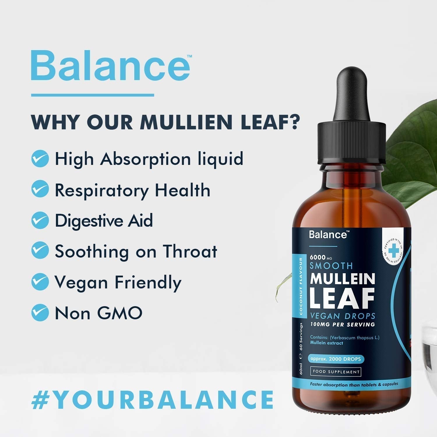 Balance Mullein Leaf Liquid Drops - 60ml for 2 Month Supply - High Strength - Vegan Balance buy supplements canada