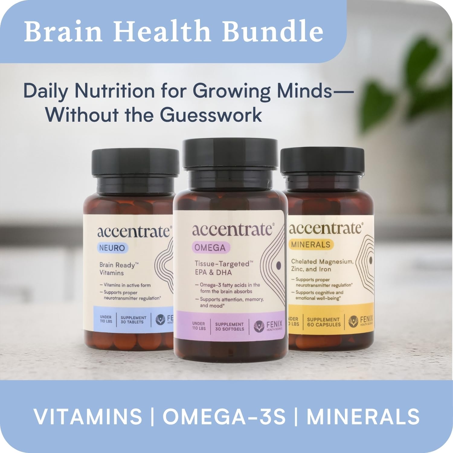Accentrate Brain Supplement for Focus, Attention, Mood | Complete Vitamin B Complex | Brain Health | Methylated Multivitamin w/L-Methylfolate (5-MTHF), Cofactors Methyl-B12 & P5P | MTHFR Supplement Accentrate buy supplements canada