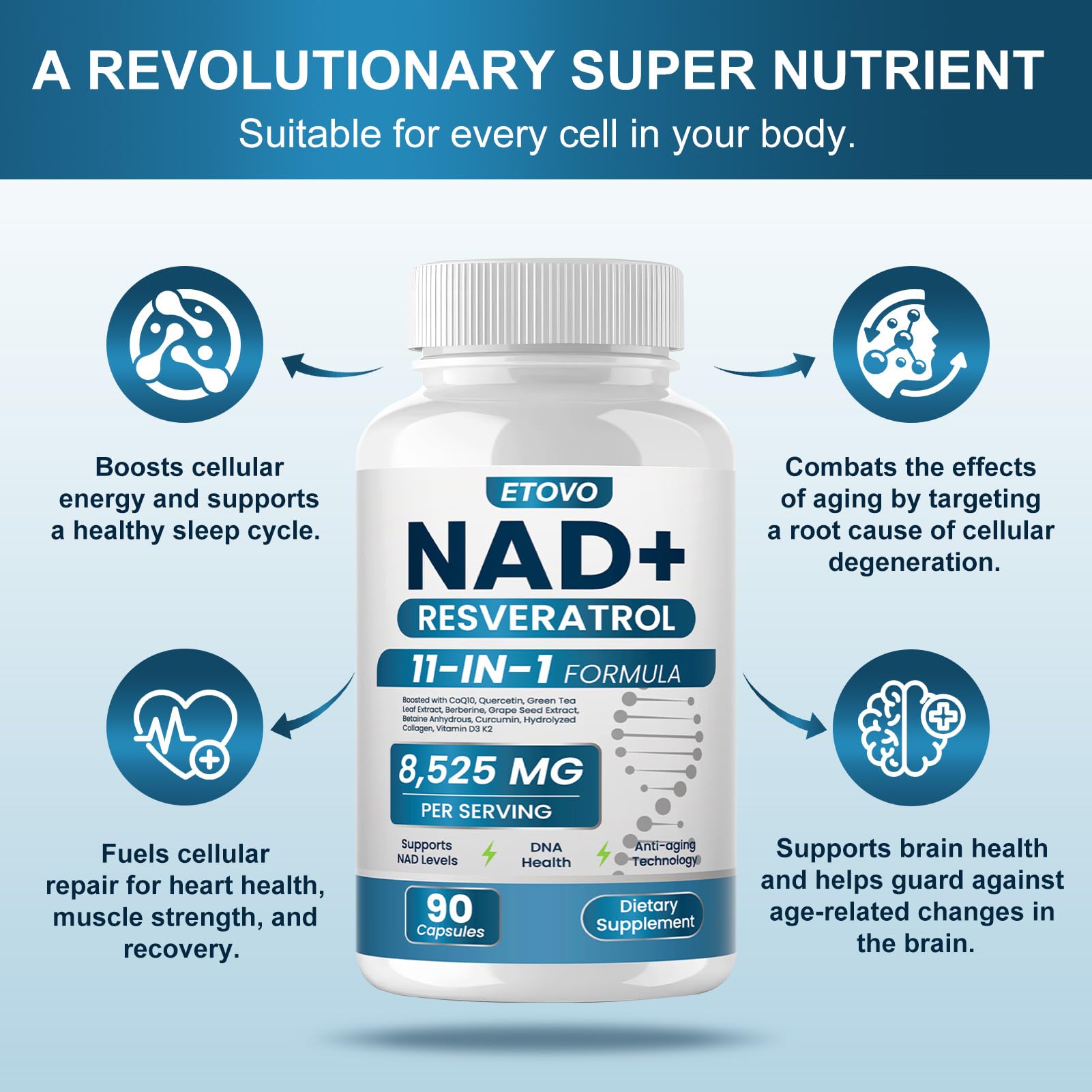 ETOVO NAD+ Supplement, 8525 mg Liposomal NAD Resveratrol Supplement for Women and Men with Coptisine Quercetin Curcumin Supports Cellular Health, Energy & Healthy Anti-Aging 180 Counts ETOVO buy supplements canada