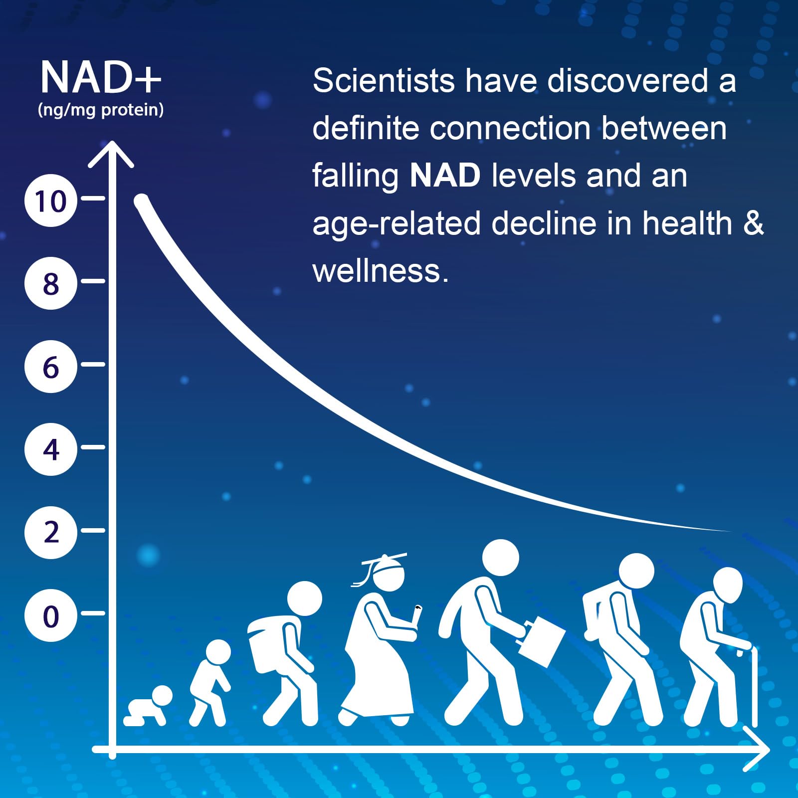 NMNH (Dihydronicotinamide Mononucleotide), NAD Supplement to Boost NAD+ Levels as We Age (May Be More Effective Than Nicotinamide Riboside), NMNH Supplement for Anti-Aging, 60 Capsules (60 Servings) Ucessuyy buy supplements canada