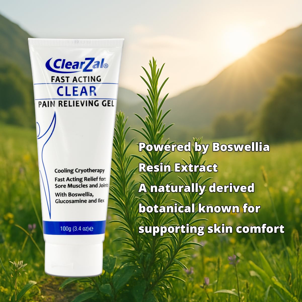 ClearZal Fast Acting Clear Pain Relieving Gel with Cooling Cryotherapy, Boswellia and Glucosamine for Sore Muscles and Joints, Soothing Cooling Gel 3.4 oz Clearzal buy supplements canada