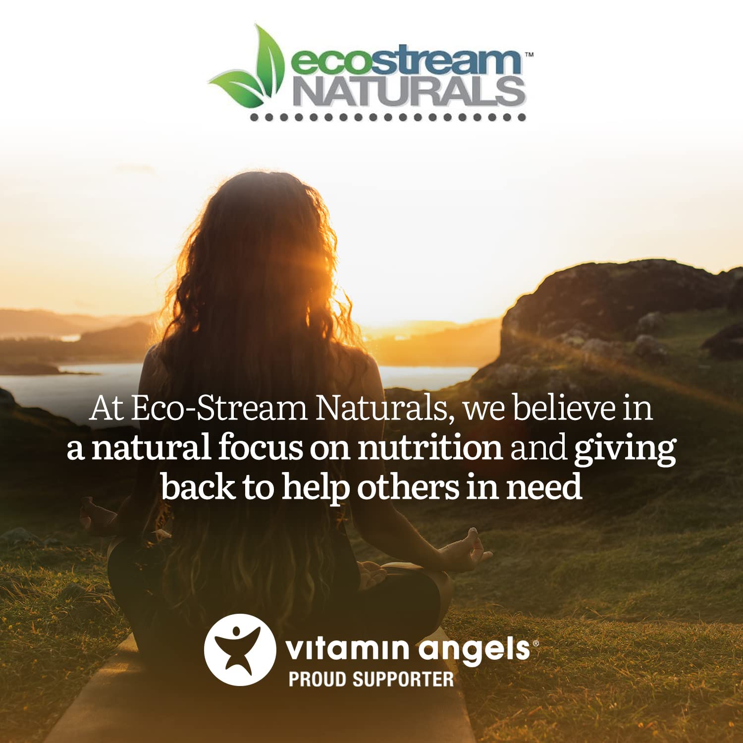 ecostream Naturals Vital First Daily Greens Superfood Powder 50 Whole Super Foods with Spirulina, Chlorella, Flax Seed, Fiber and Enzymes with Organic Greens - 30 Servings ecostream Naturals buy supplements canada