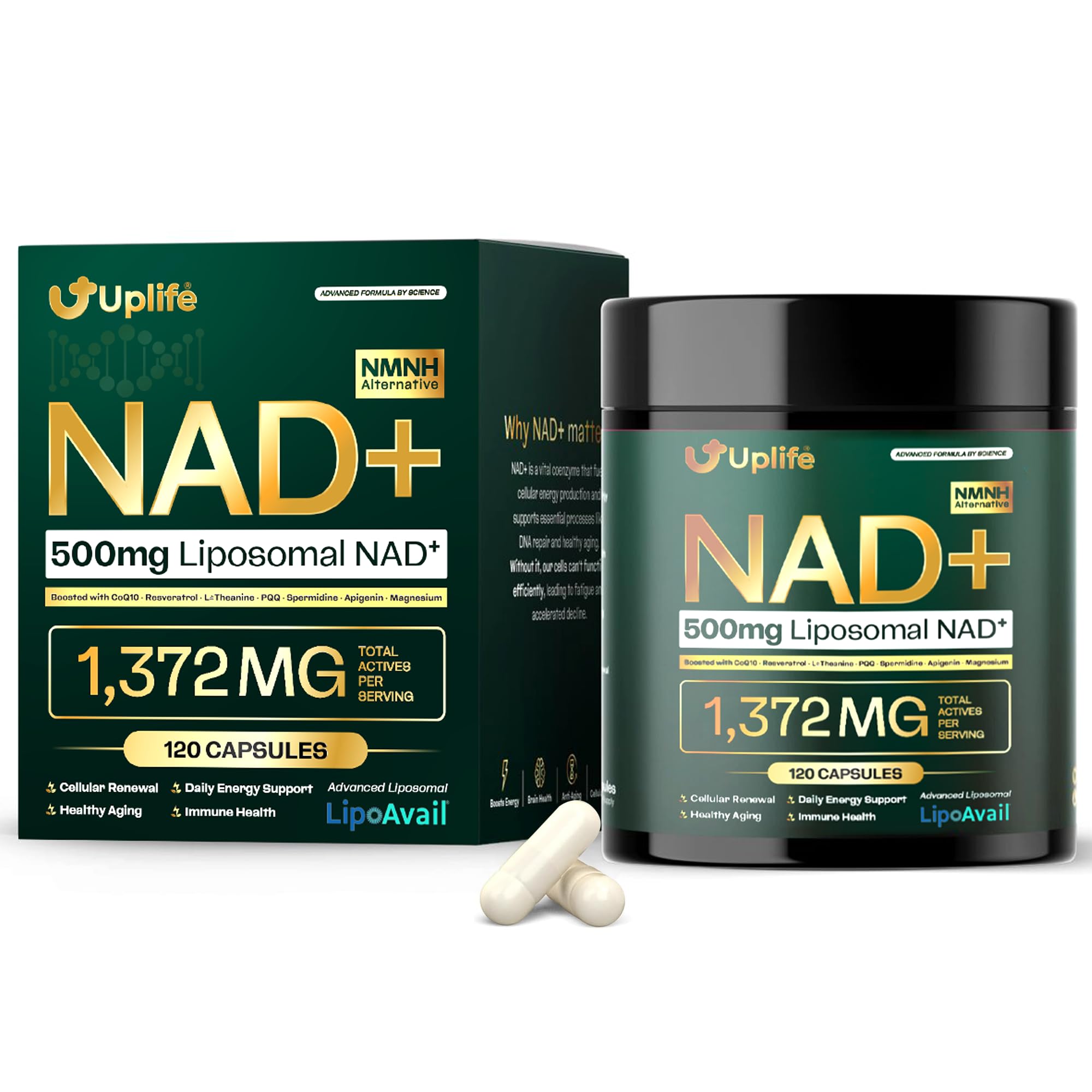 UPLIFE NAD+ Supplement 1,372mg – Liposomal NAD+ with CoQ10, Resveratrol, Spermidine, L-Theanine, Apigenin & PQQ – NMNH Alternative Booster Cellular Energy, Healthy Aging, Immune Health – 120 Capsules UPLIFE buy supplements canada