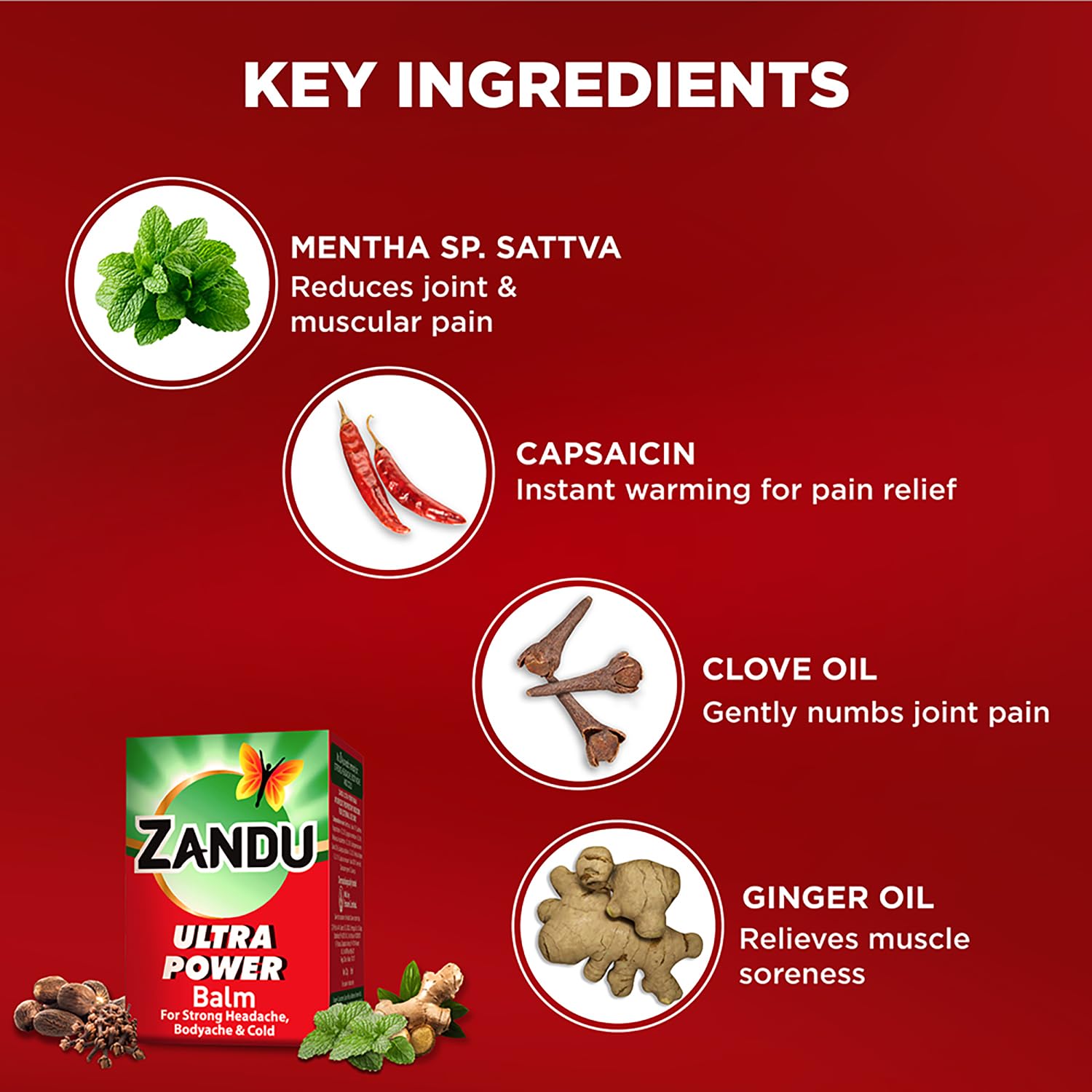 Zandu Ultra Red Balm | Ayurvedic Balm with Menthol, Camphor, Eucalyptus Oil | Relieves from Bodyache, Cold & Muscle Stiffness | Non Greasy & Fast Acting | 0.85 Fl Oz (Pack of 1) Zandu buy supplements canada