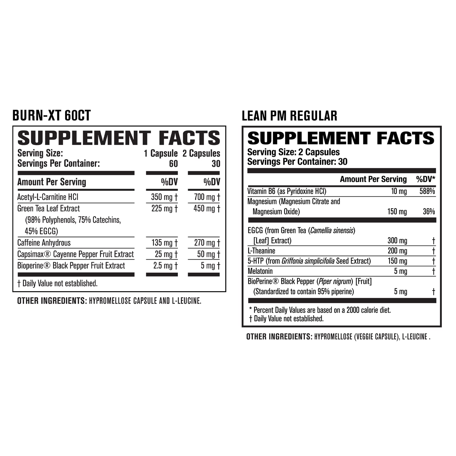 Jacked Factory Burn XT Thermogenic Fat Burner & Lean PM Nighttime Jacked Factory buy supplements canada