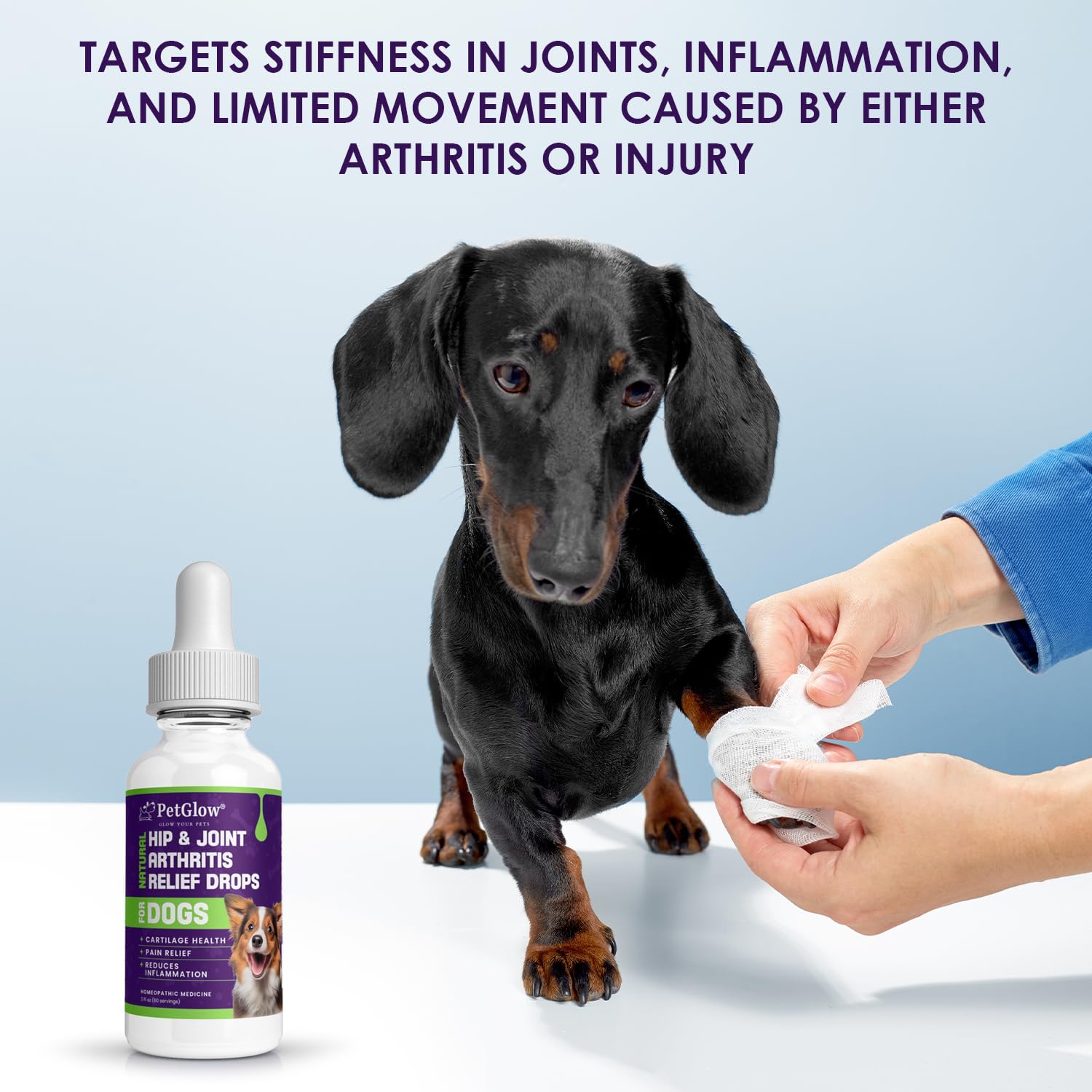 Petglow® Natural Hip & Joint Arthritis Relief Drops with Curcumin & Boswellia, Homeopathic Anti-Inflammatory Formula for Dogs, Cats & Horses, Supports Flexibility, Comfort & Mobility Naturally Petglow buy supplements canada