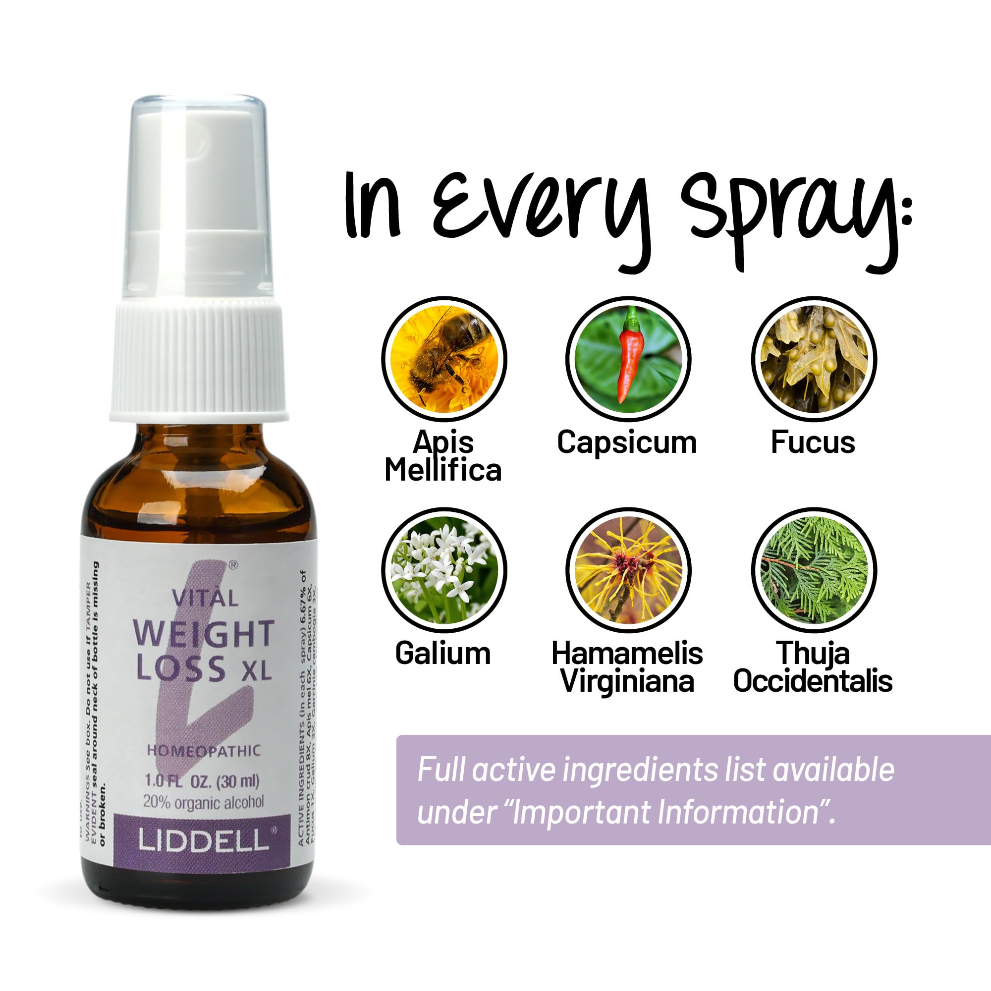 VITL Weight Loss XL Liddell Homeopathic 1 oz Liquid Liddell buy supplements canada