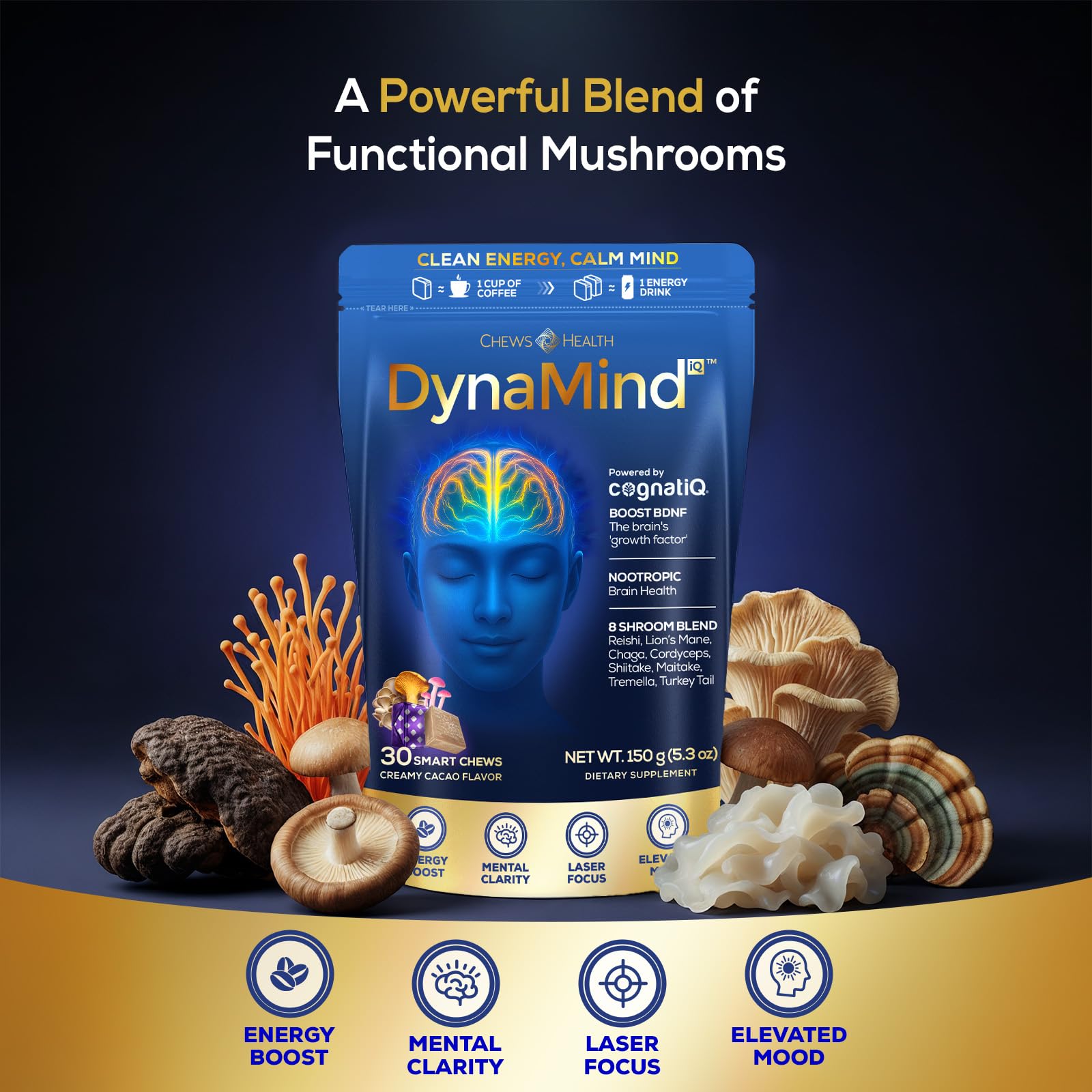 DynaMind iQ Brain Supplement for Memory and Focus for Adults - Nootropic Chews | Coffee Fruit & Mushroom Supplement Blend, Memory Focus Supplement, Caffeine Focus Pills Alternative, 30 Count CHEWSHEALTH buy supplements canada